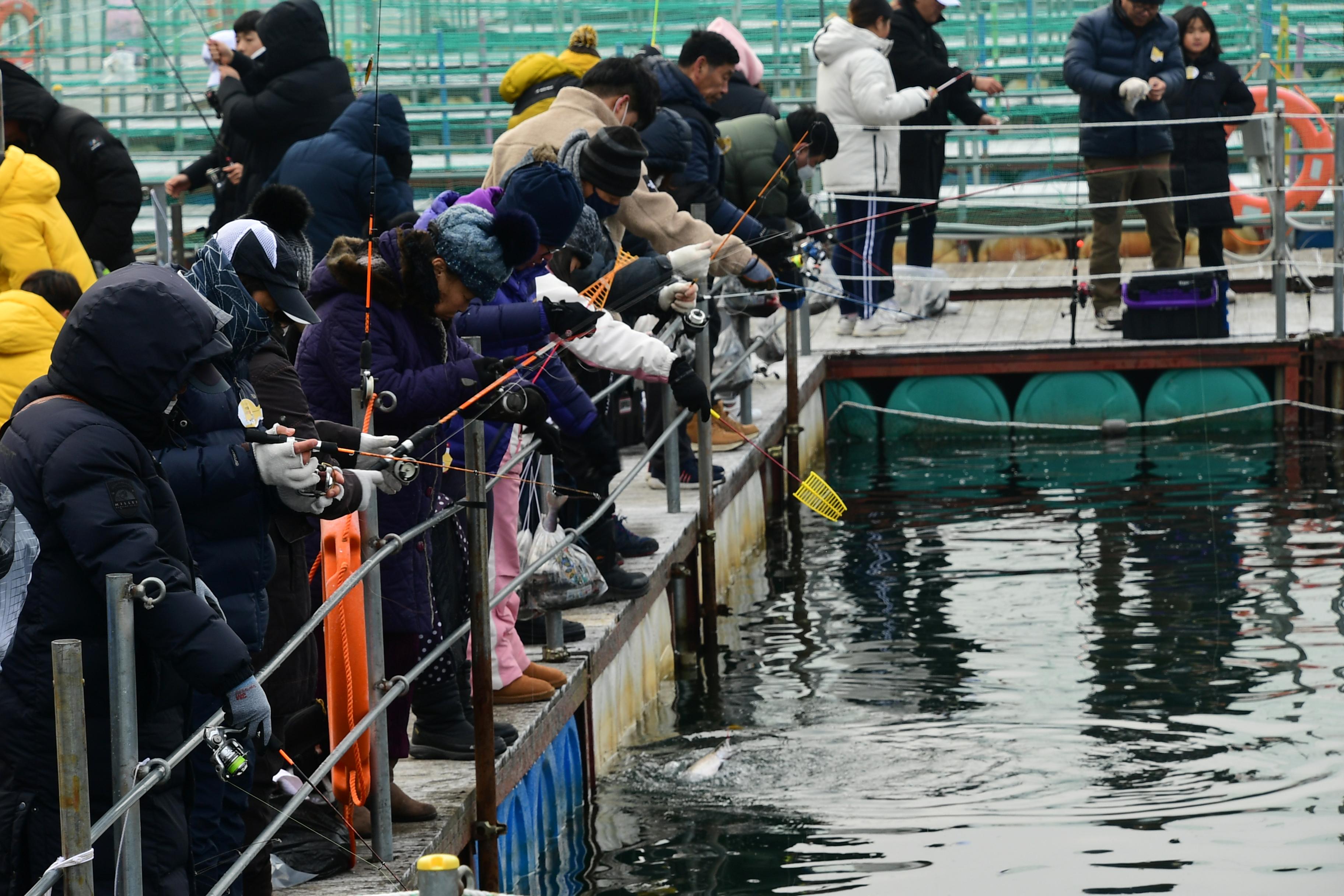 2020 화천산천어축제 산천어 수상낚시터 전경 의 사진