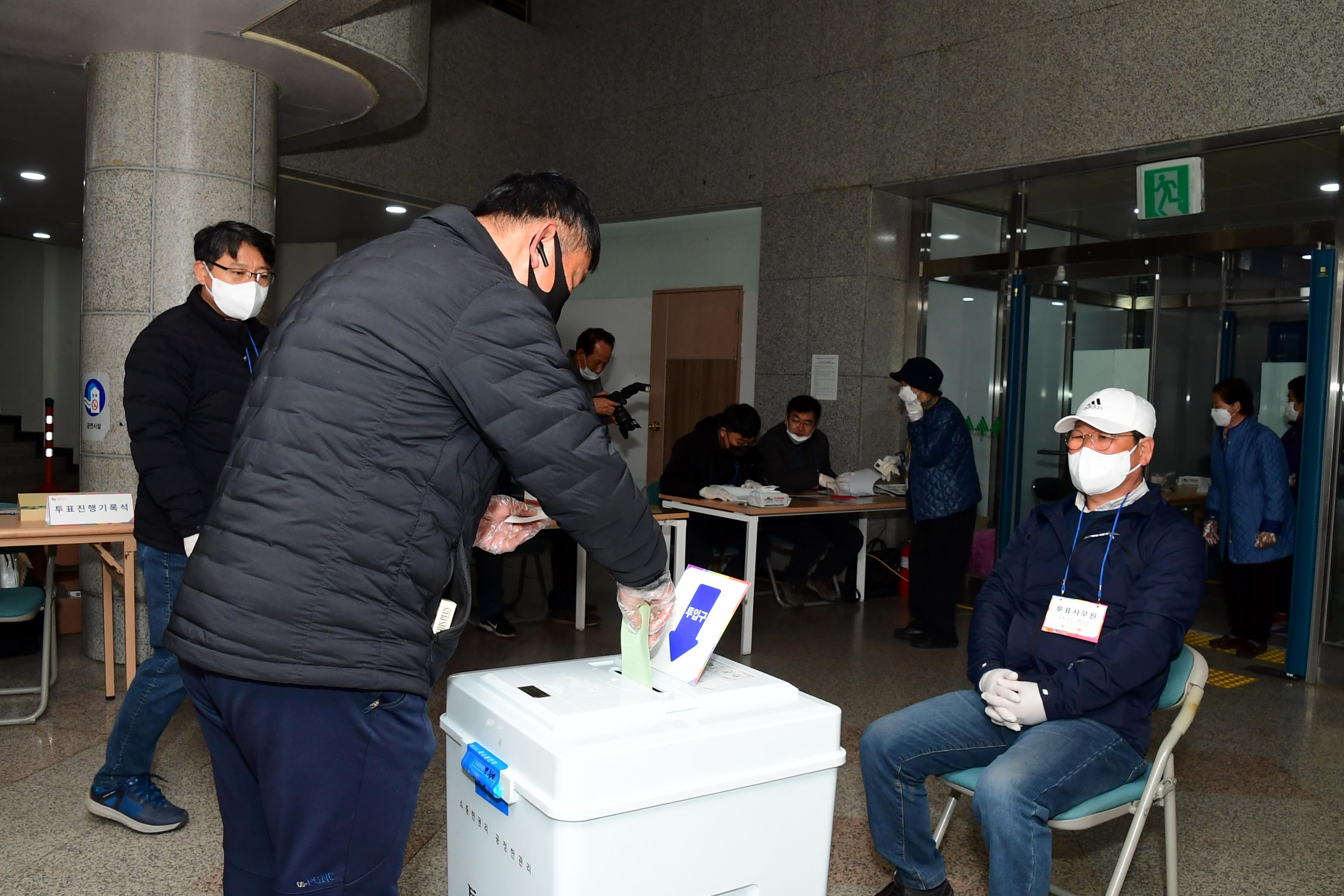 2020 제21대 국회의원 선거 의 사진