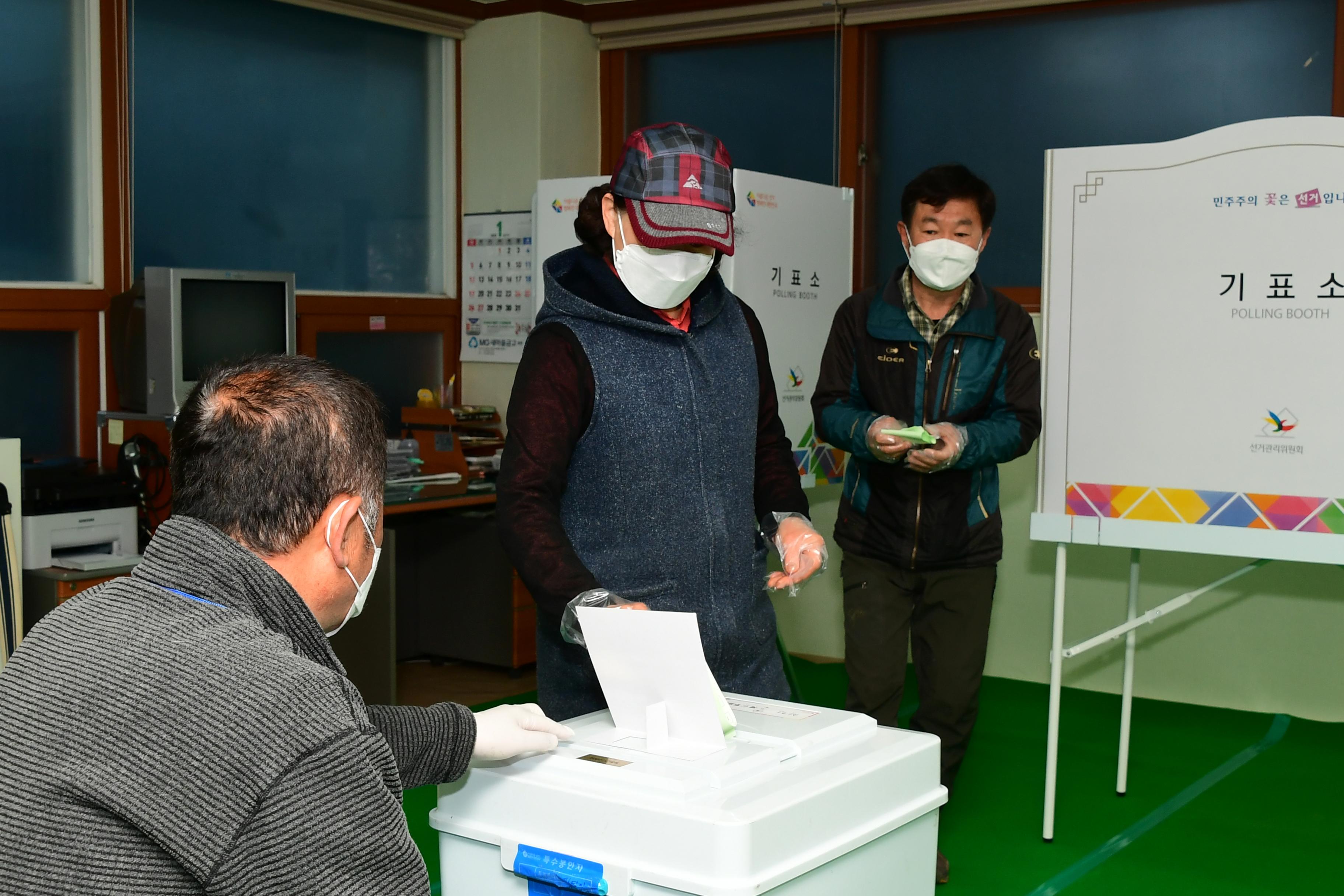 2020 제21대 국회의원 선거 의 사진