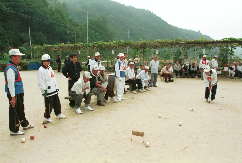 노인회장기 게이트볼 대회 의 사진