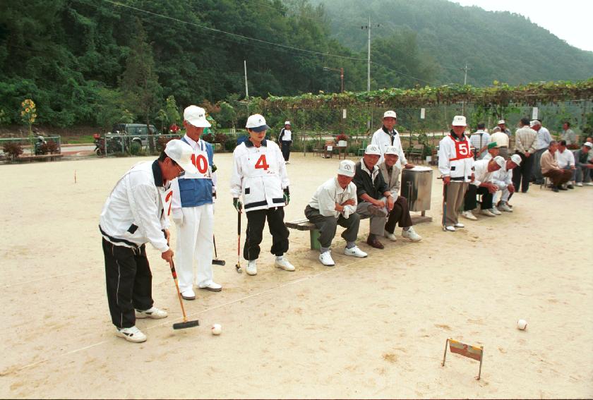 노인회장기 게이트볼 대회 의 사진