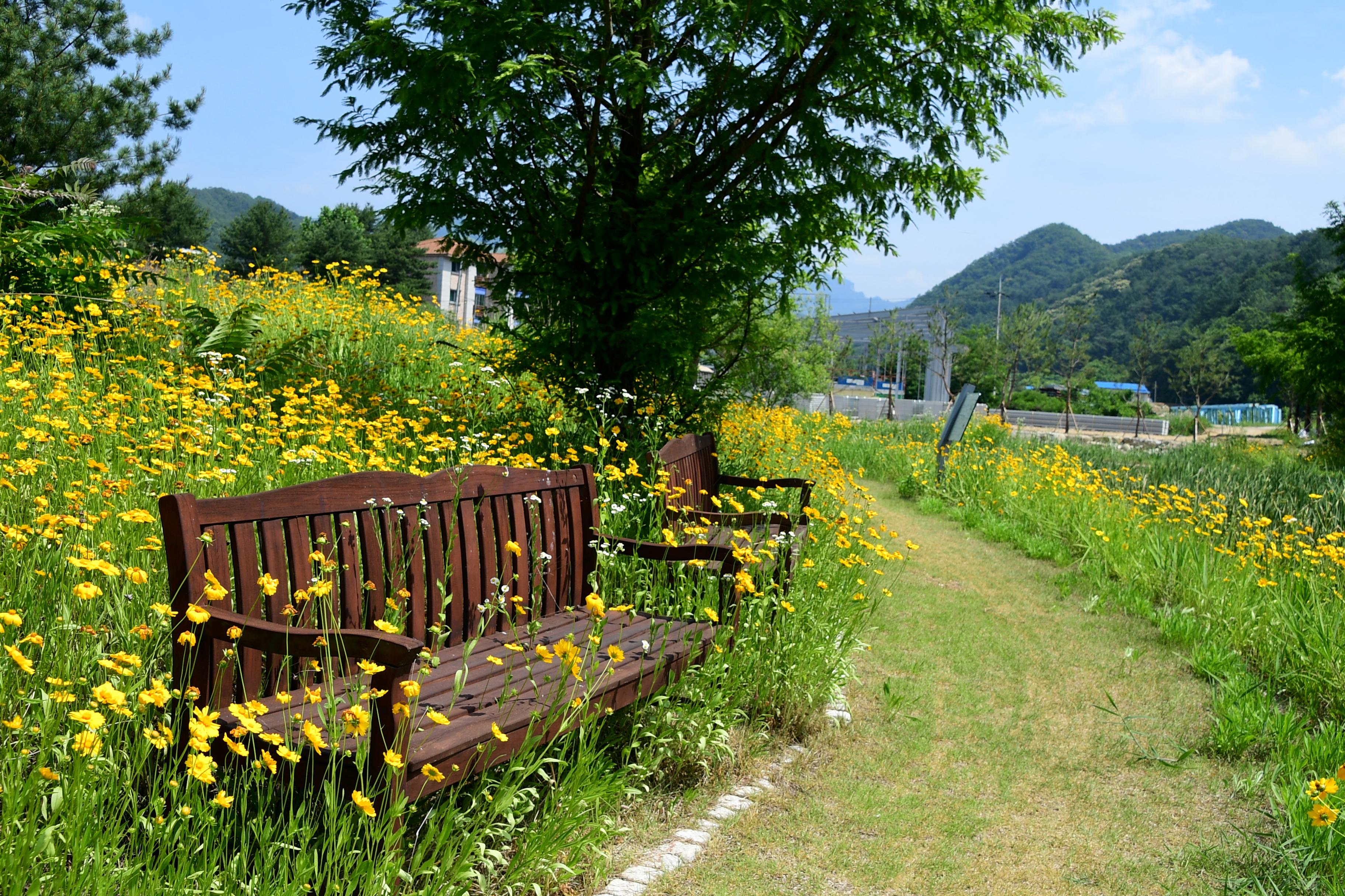 2020 생태영상센터 전경 의 사진