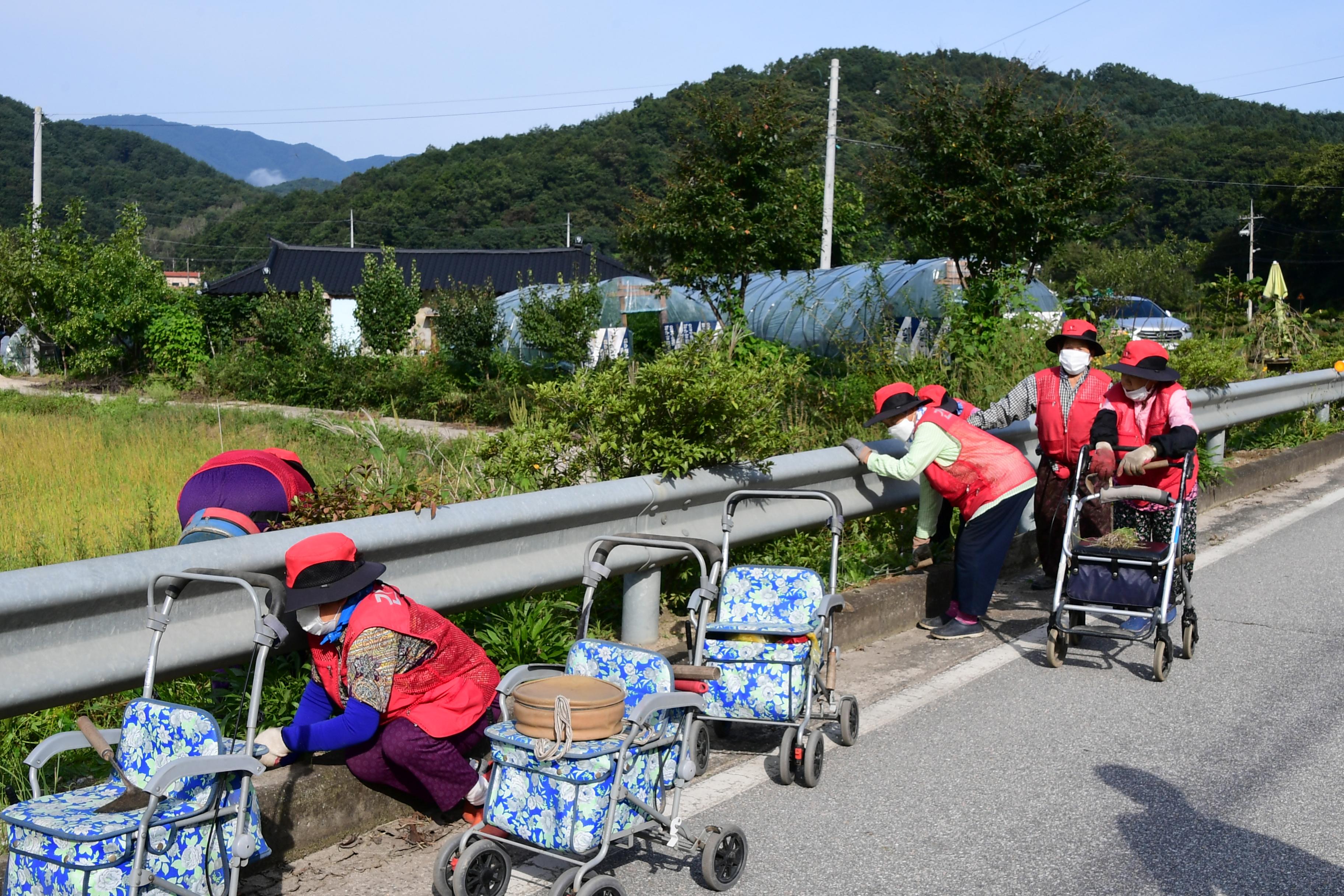 2020 노인일자리 사업장 격려방문 의 사진