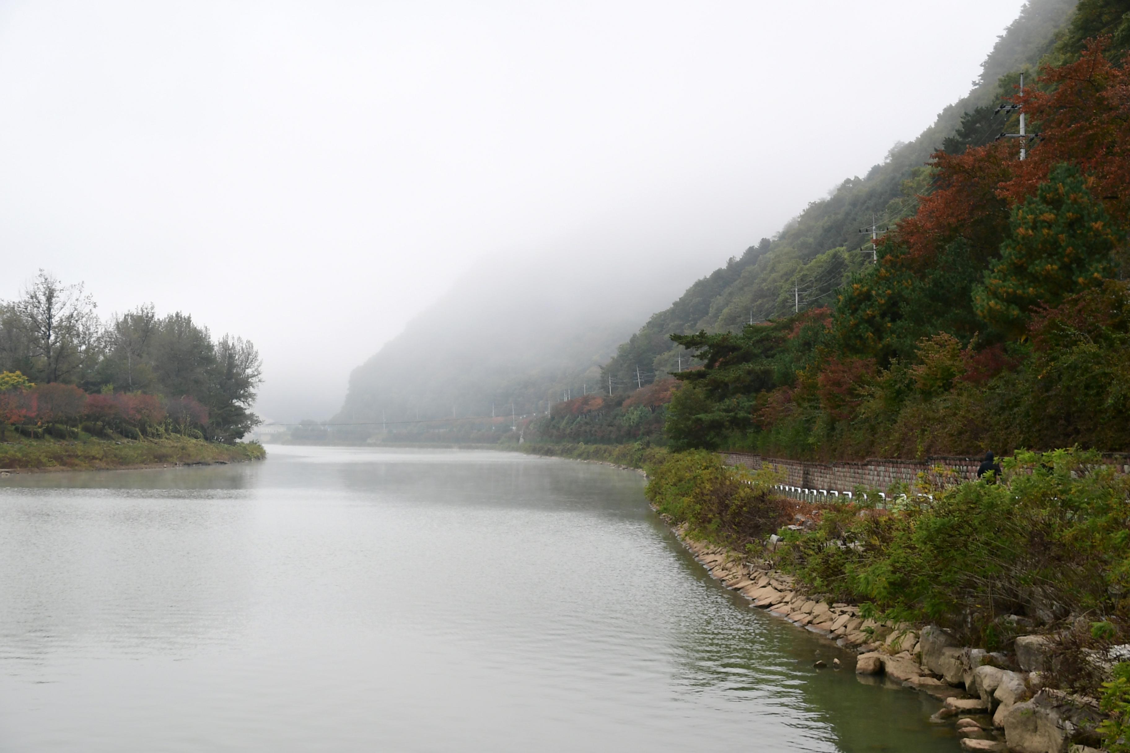 2020 화천산소길 투어 의 사진