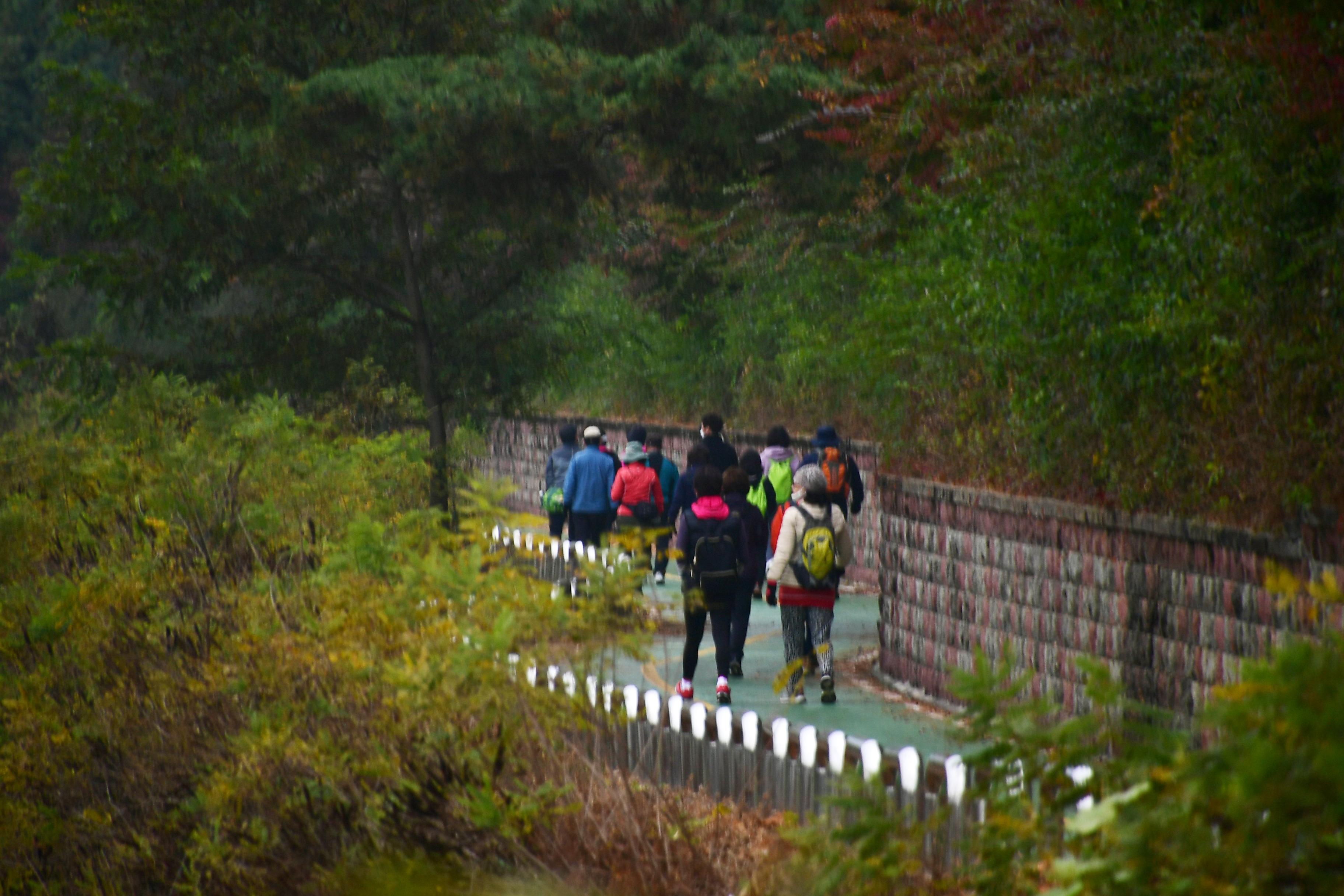 2020 화천산소길 투어 의 사진