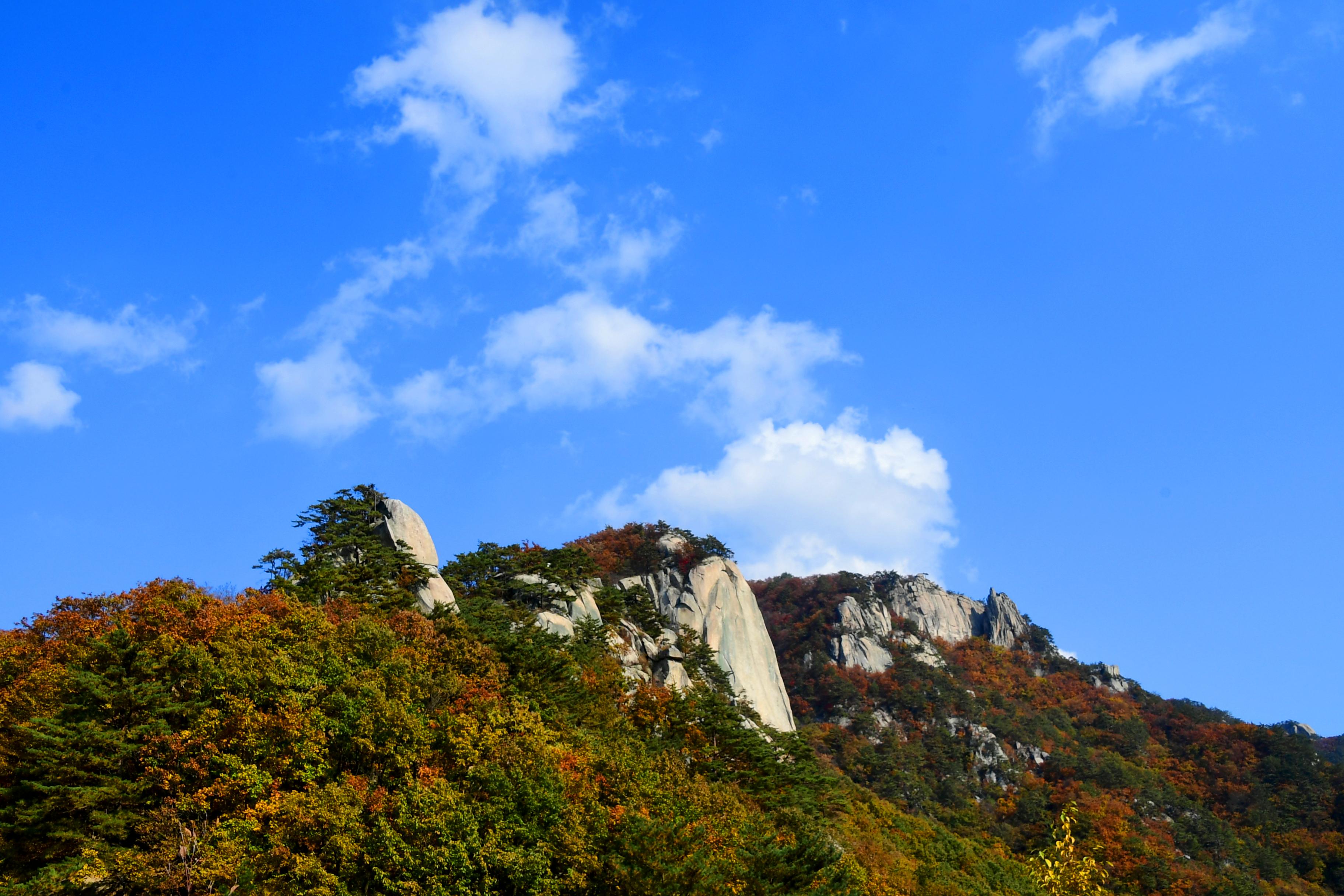 2020 하남면 삼화리 용화산 전경 사진