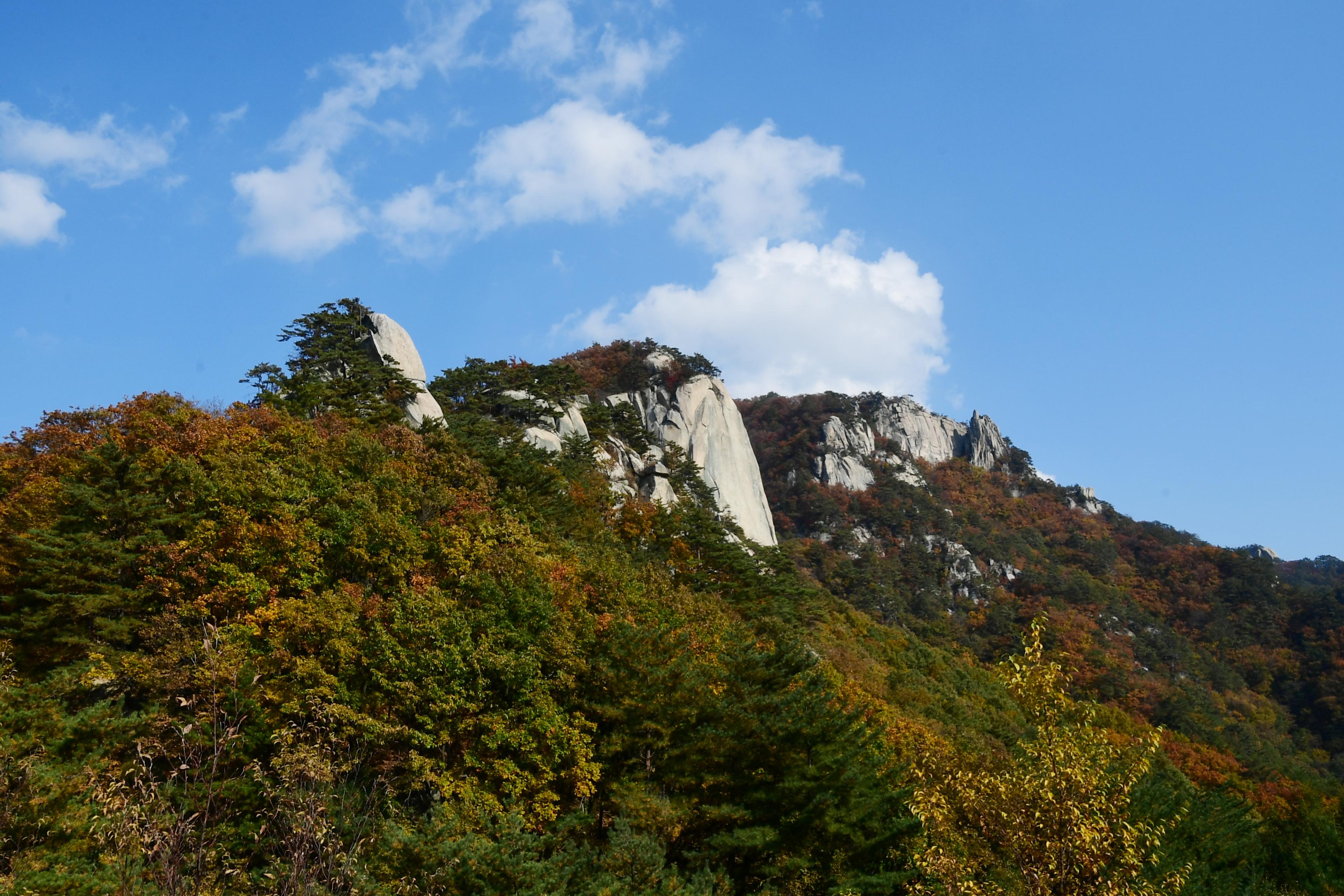 2020 하남면 삼화리 용화산 전경 의 사진