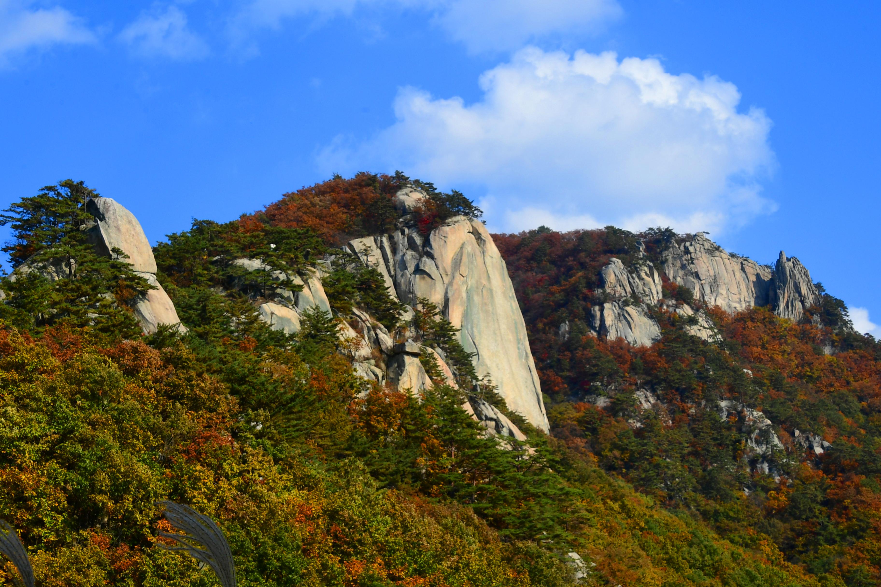 2020 하남면 삼화리 용화산 전경 의 사진