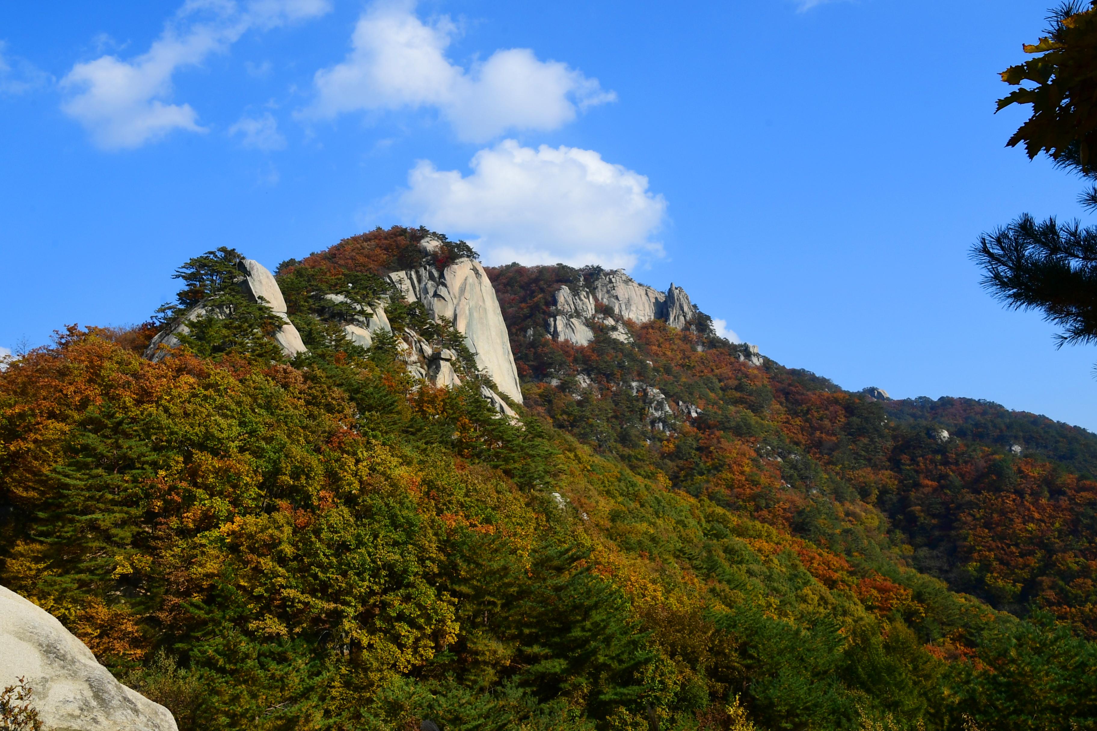 2020 하남면 삼화리 용화산 전경 의 사진