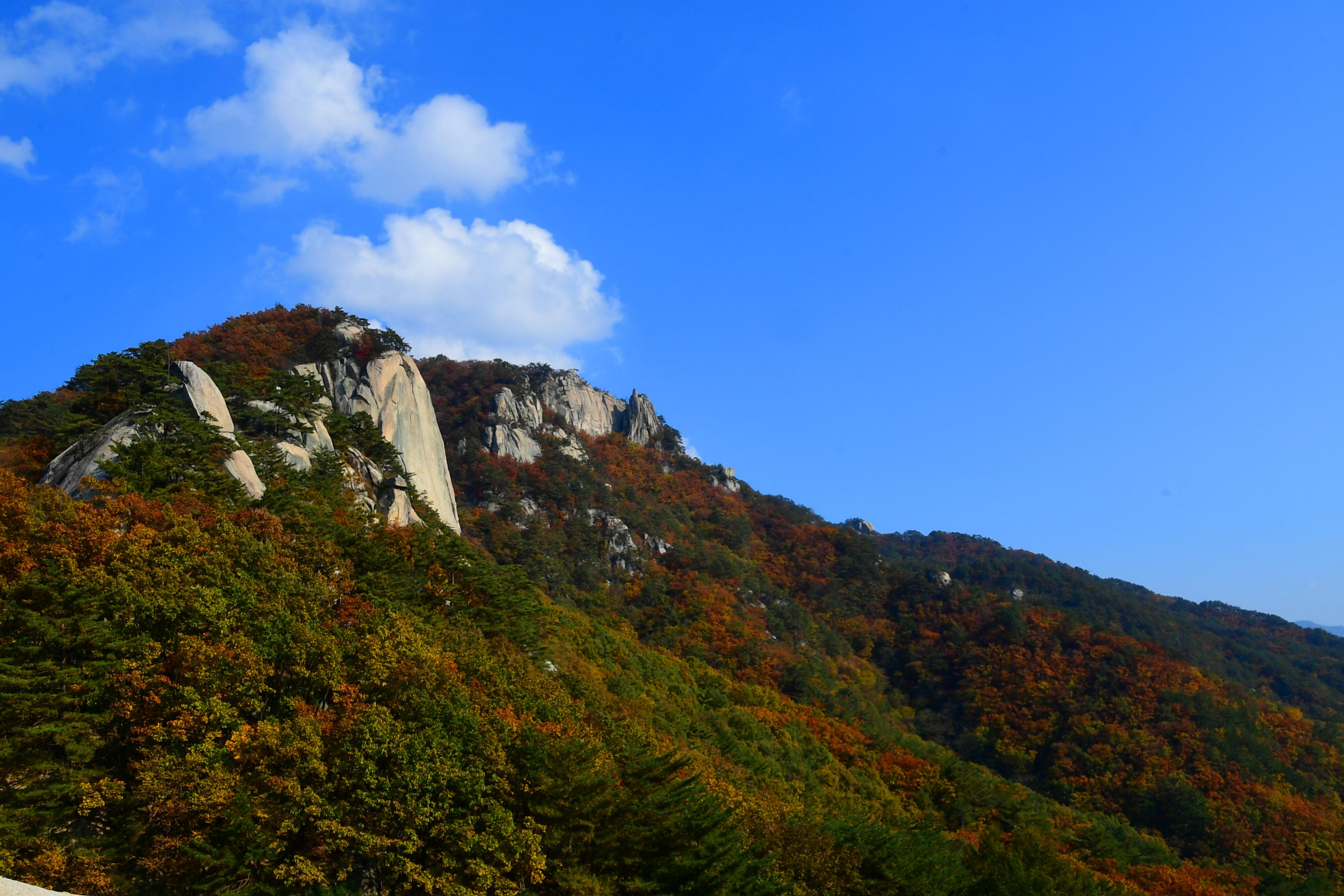 2020 하남면 삼화리 용화산 전경 의 사진