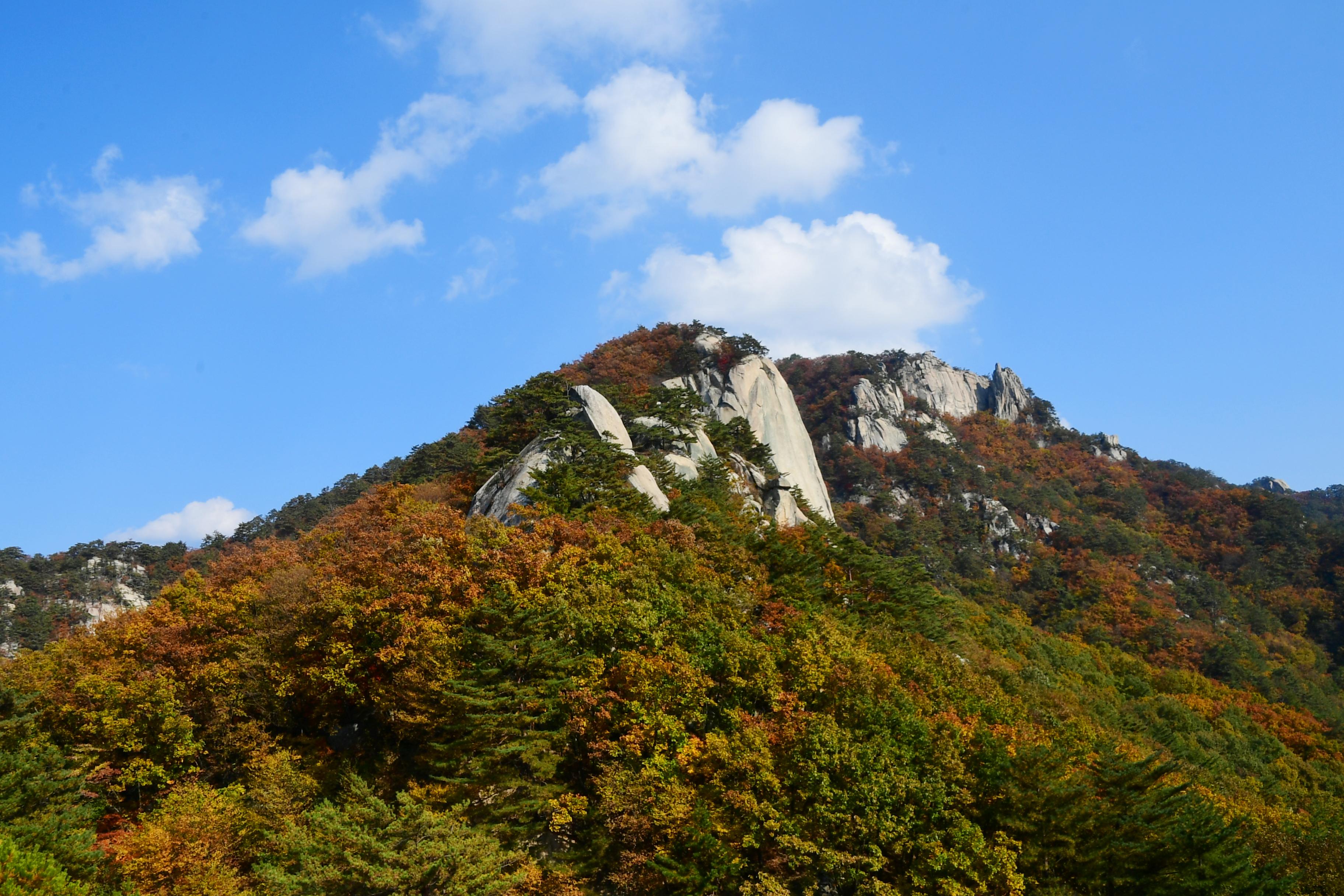 2020 하남면 삼화리 용화산 전경 의 사진