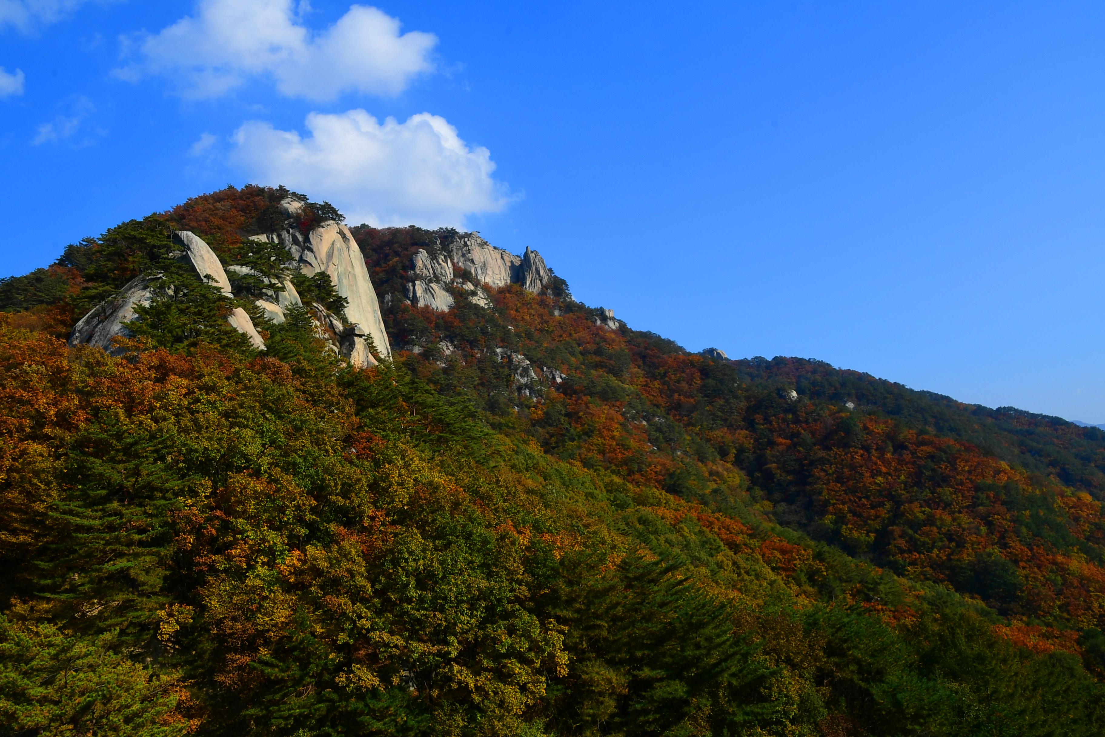 2020 하남면 삼화리 용화산 전경 의 사진