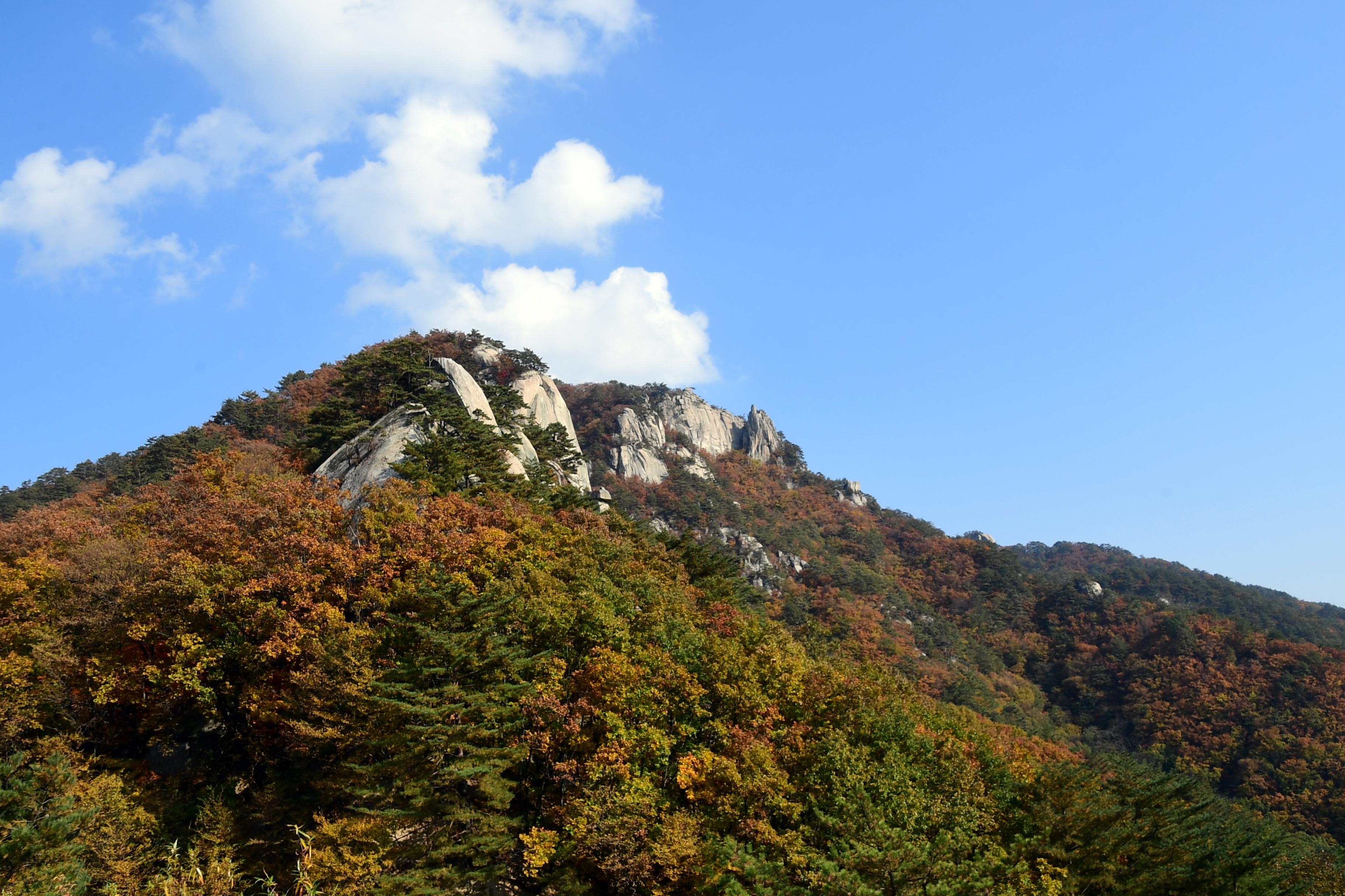 2020 하남면 삼화리 용화산 전경 의 사진