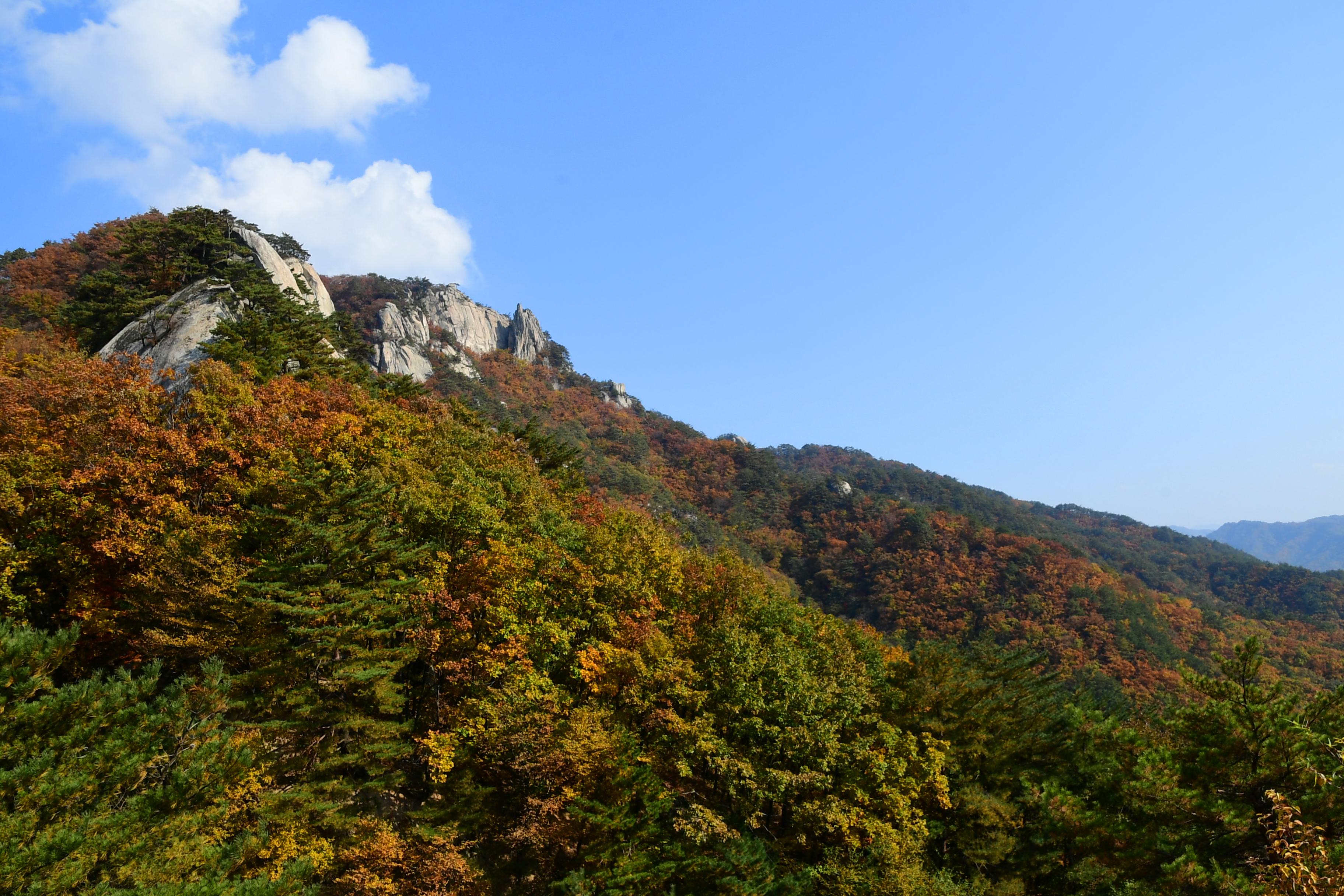 2020 하남면 삼화리 용화산 전경 의 사진