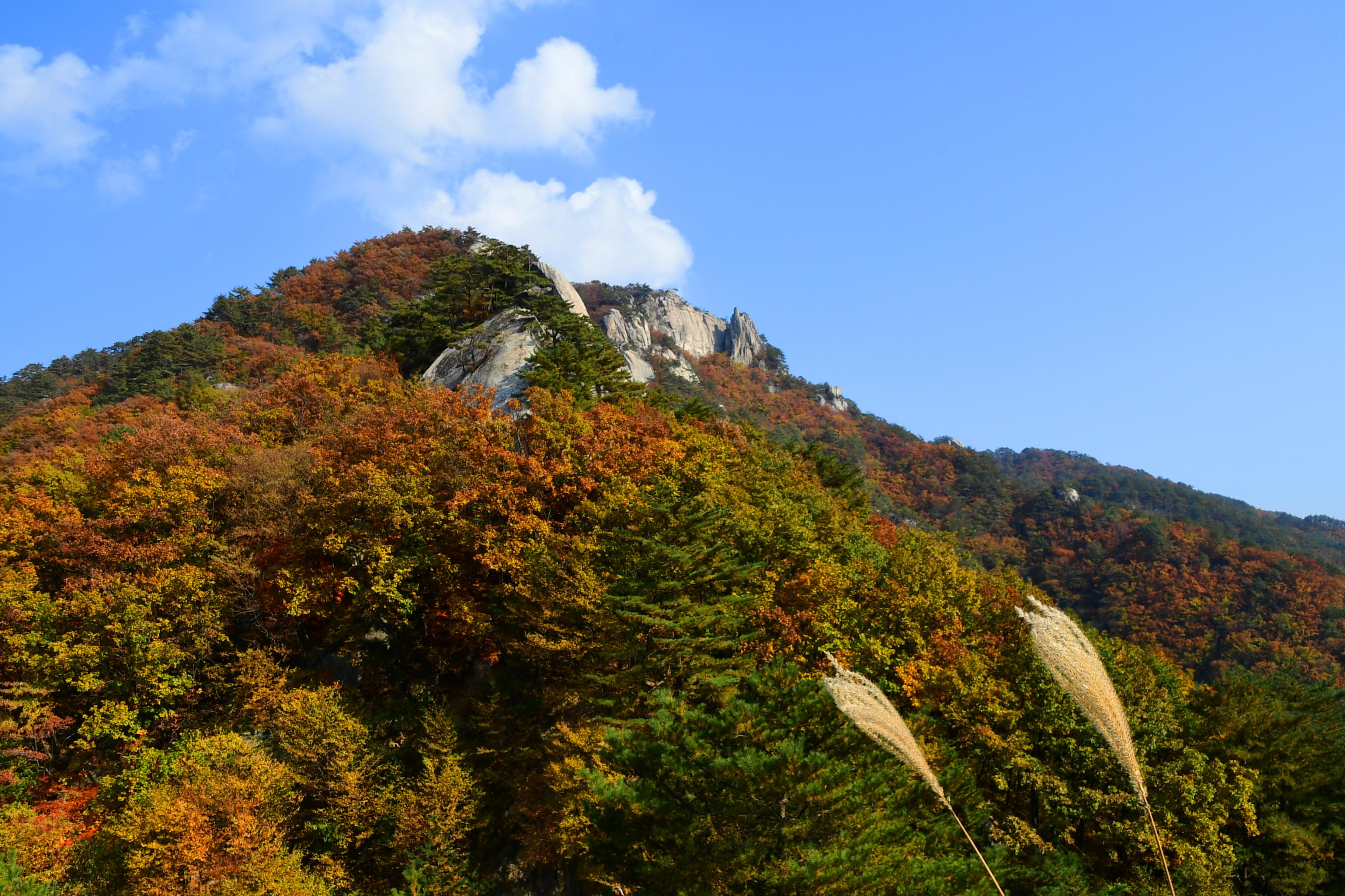 2020 하남면 삼화리 용화산 전경 의 사진