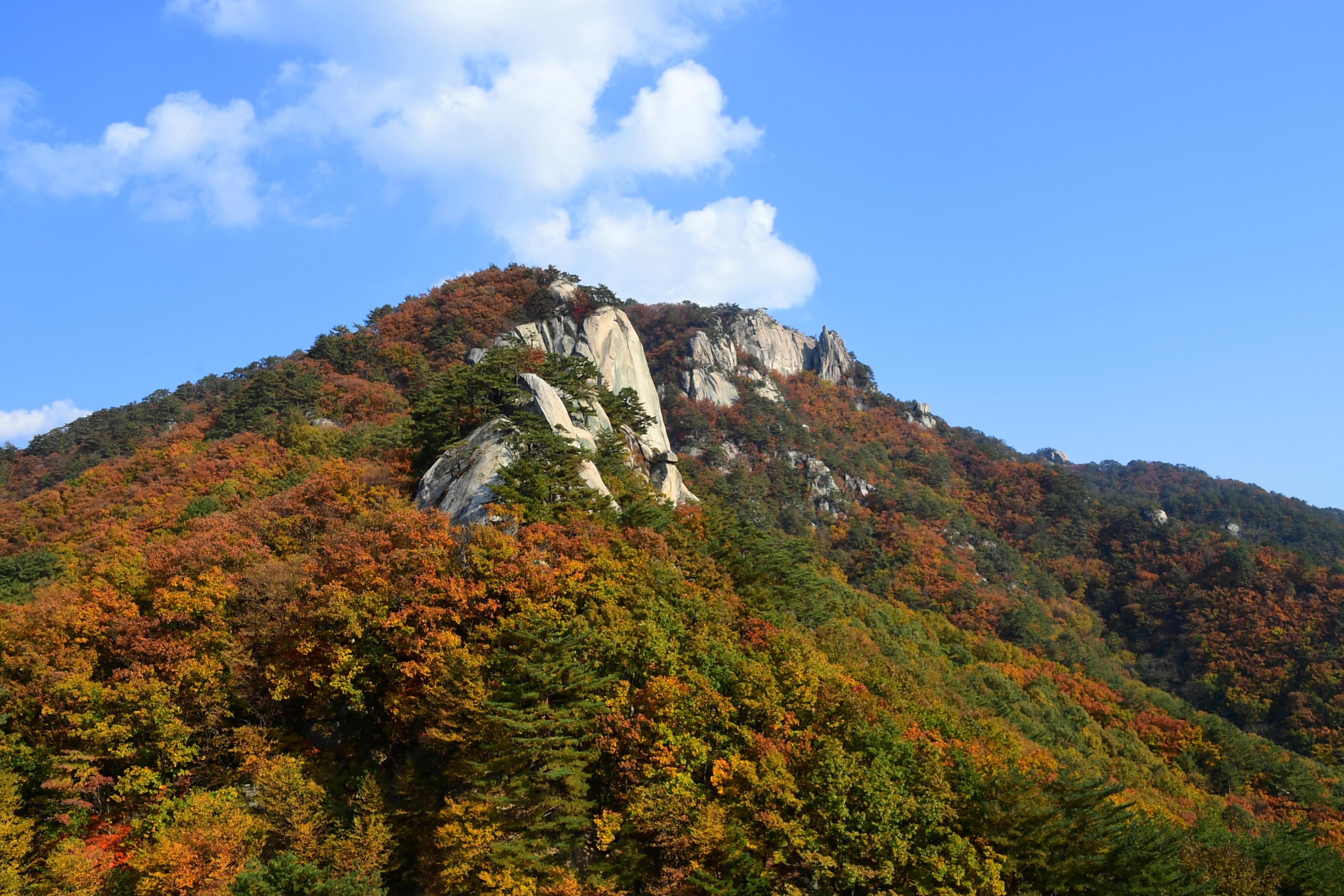 2020 하남면 삼화리 용화산 전경 의 사진