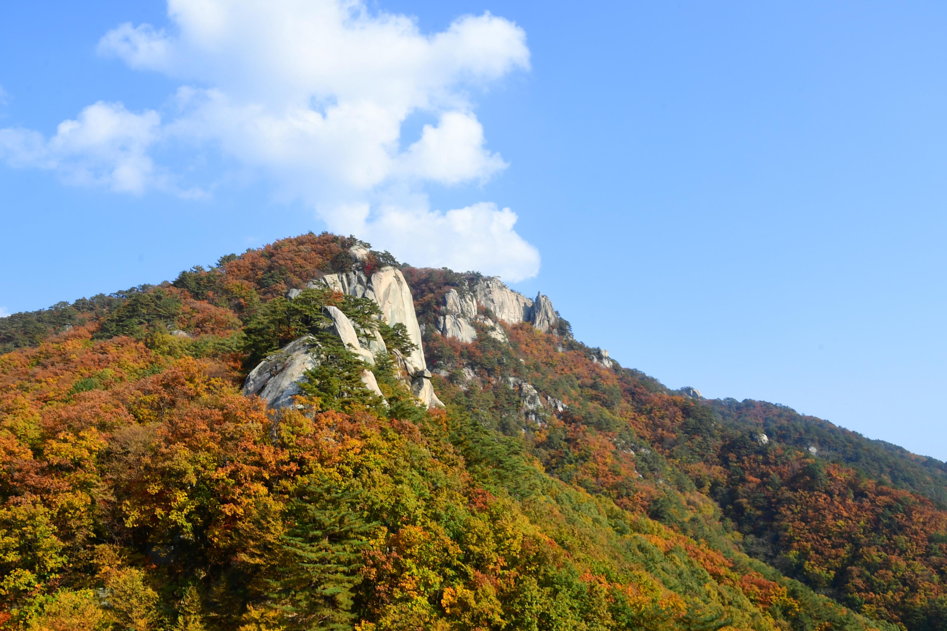 2020 하남면 삼화리 용화산 전경 의 사진