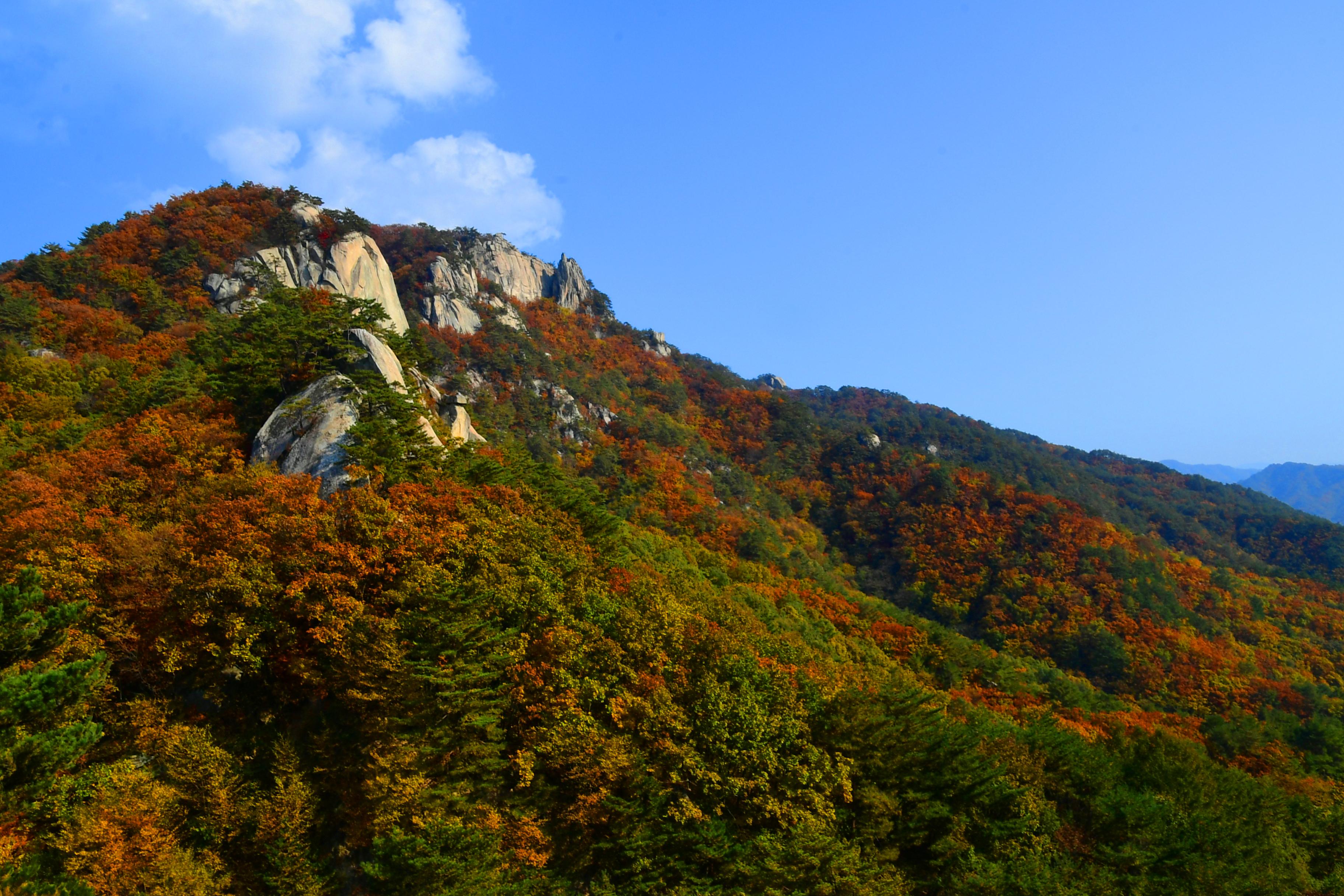 2020 하남면 삼화리 용화산 전경 의 사진