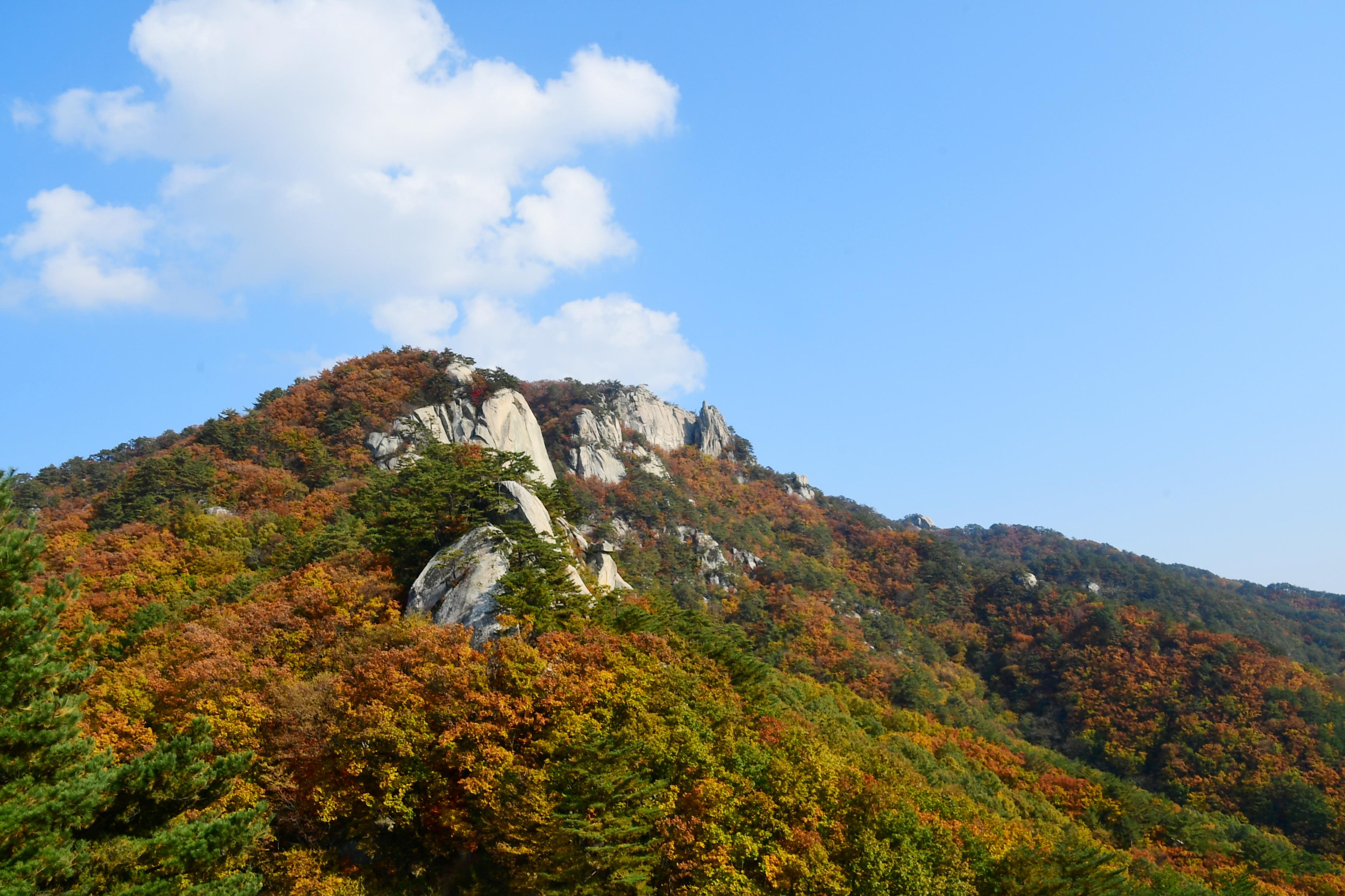 2020 하남면 삼화리 용화산 전경 의 사진