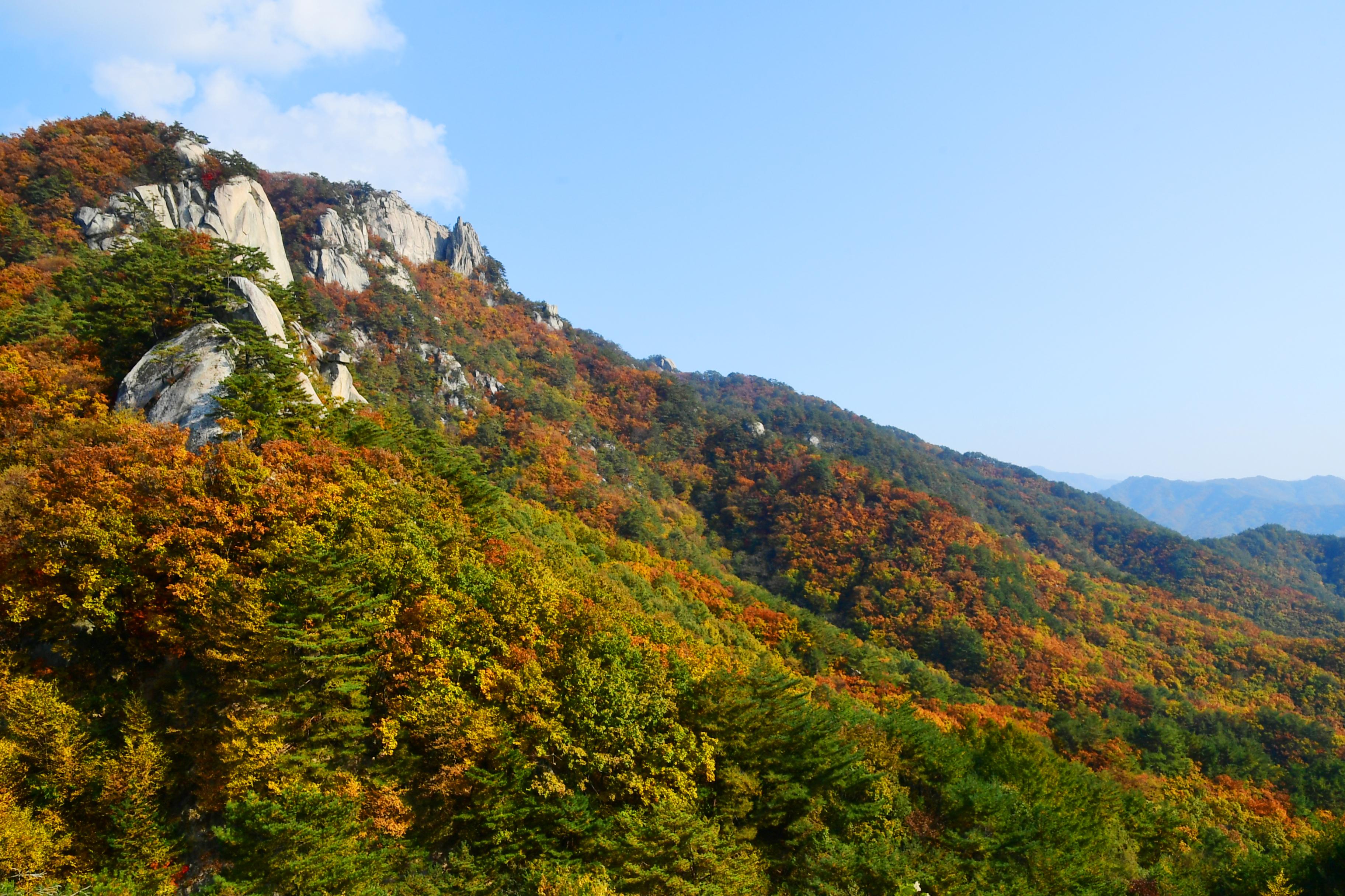 2020 하남면 삼화리 용화산 전경 의 사진