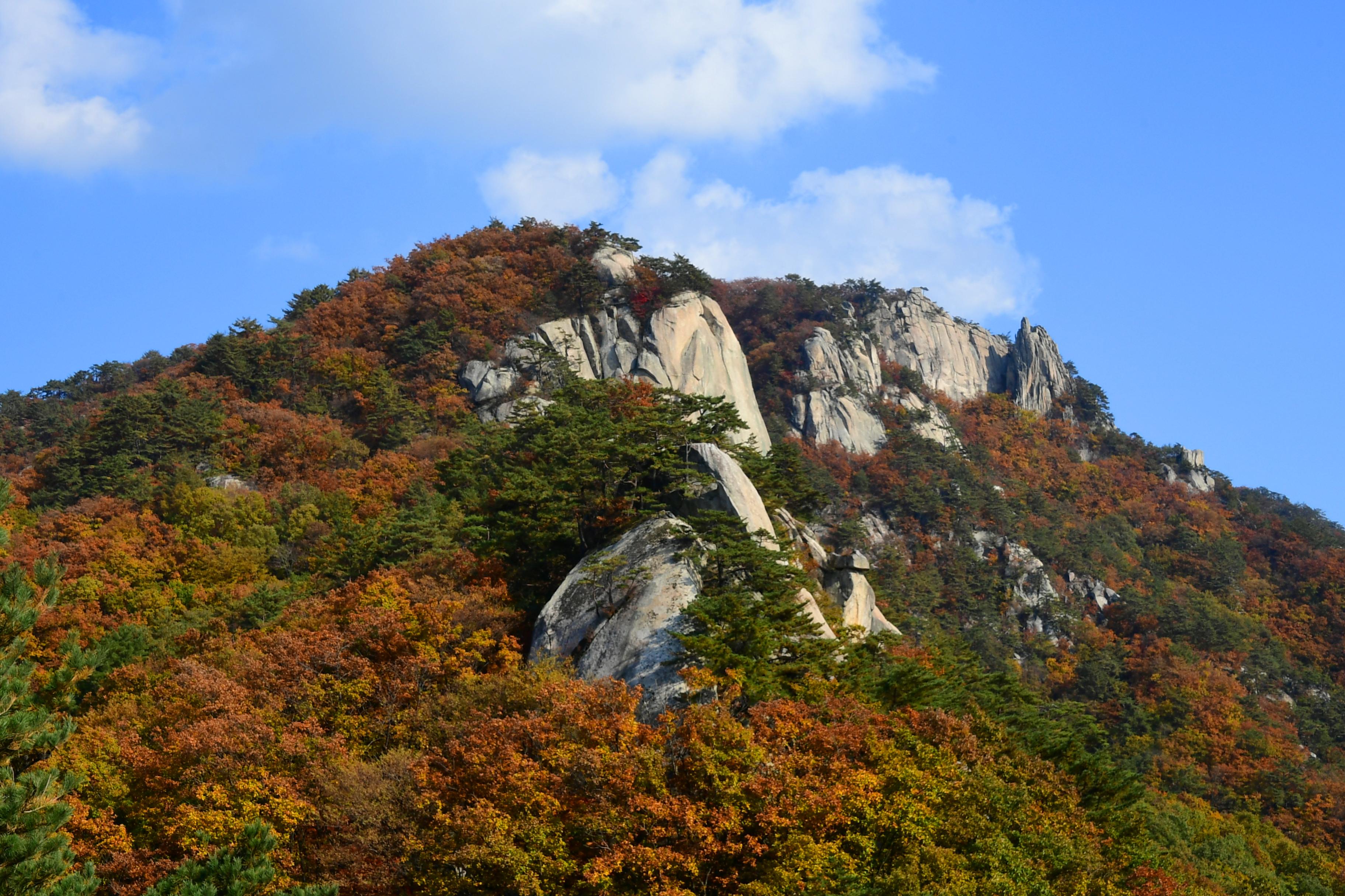 2020 하남면 삼화리 용화산 전경 의 사진