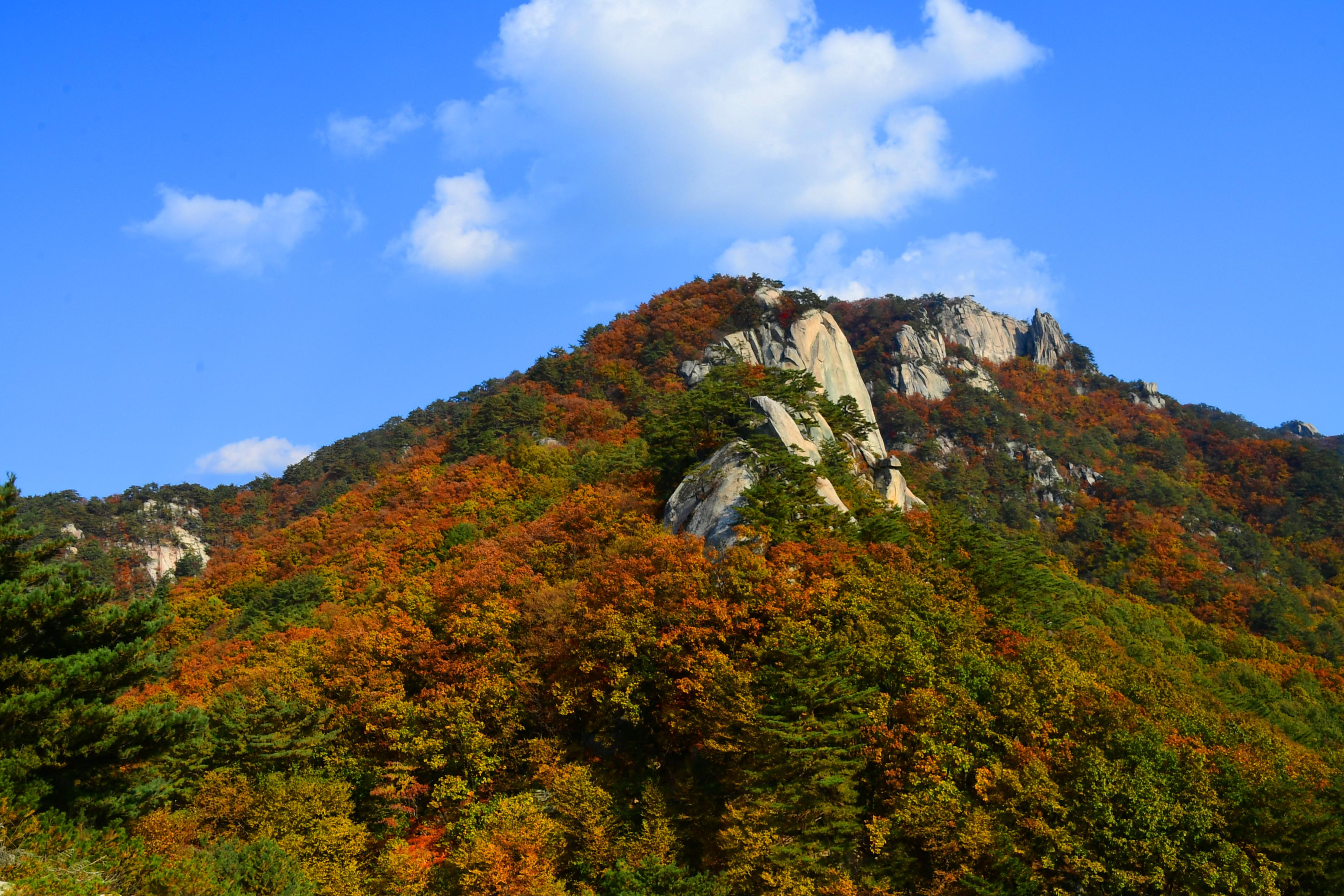 2020 하남면 삼화리 용화산 전경 의 사진