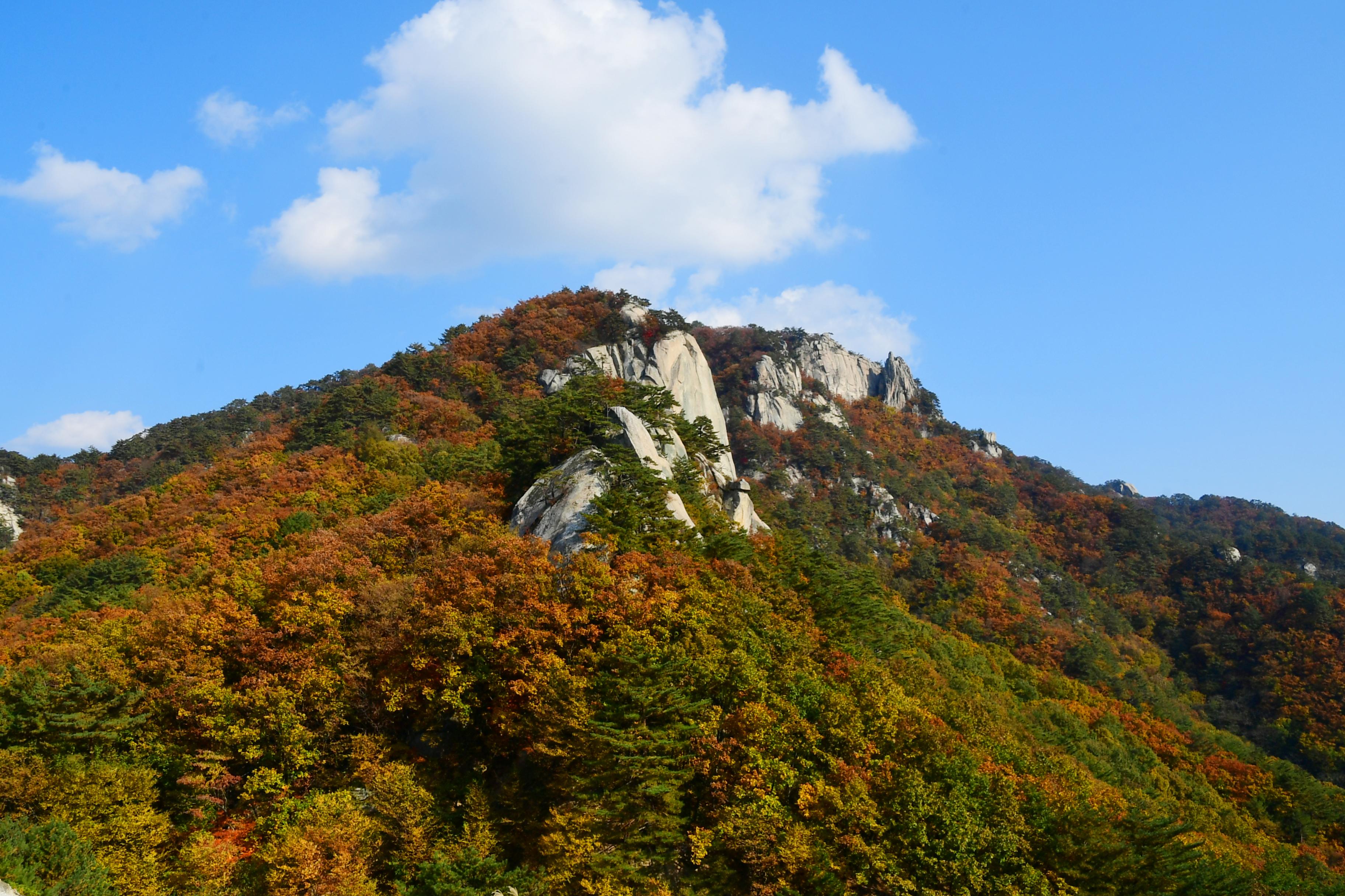 2020 하남면 삼화리 용화산 전경 의 사진