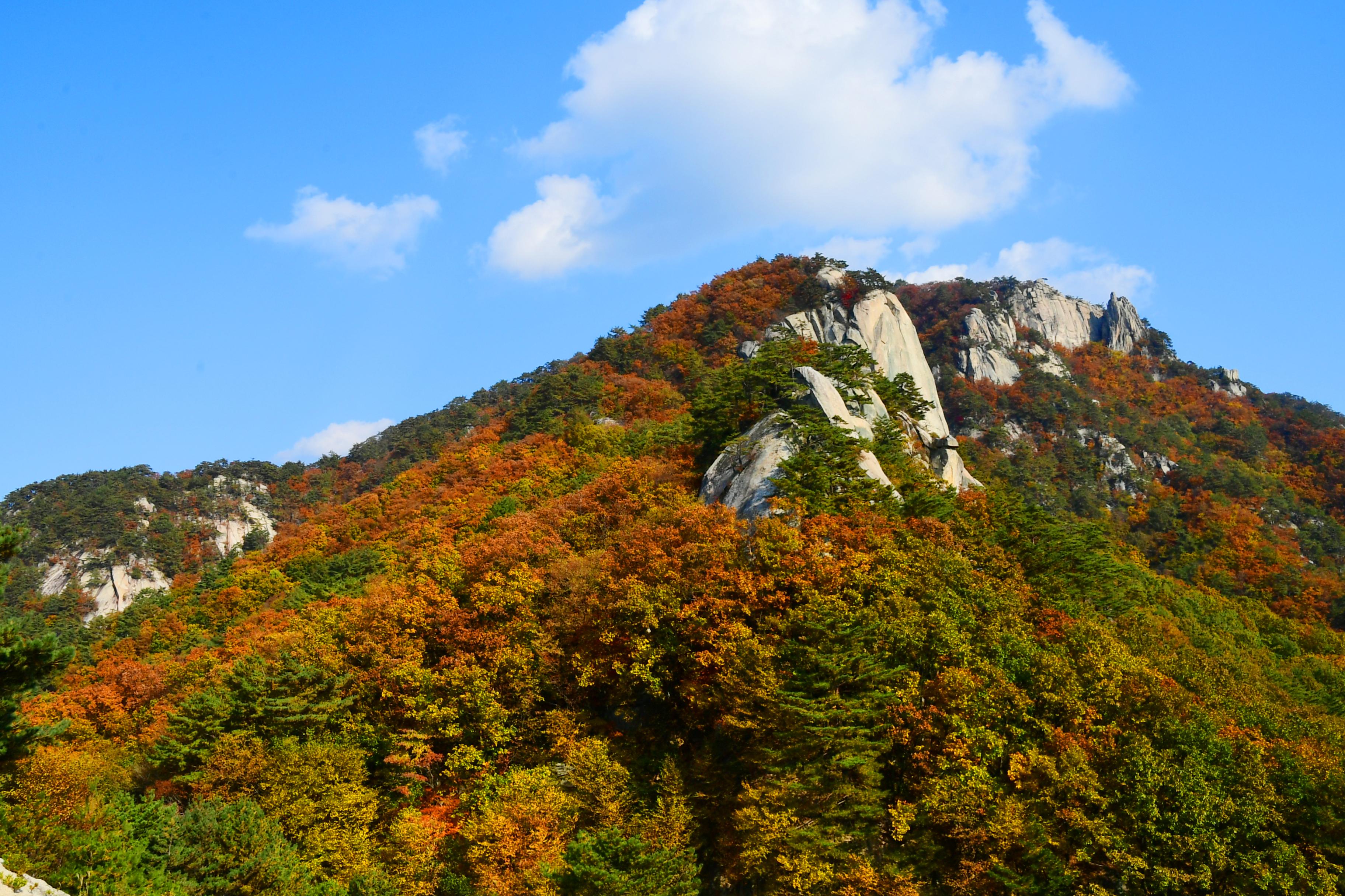 2020 하남면 삼화리 용화산 전경 의 사진