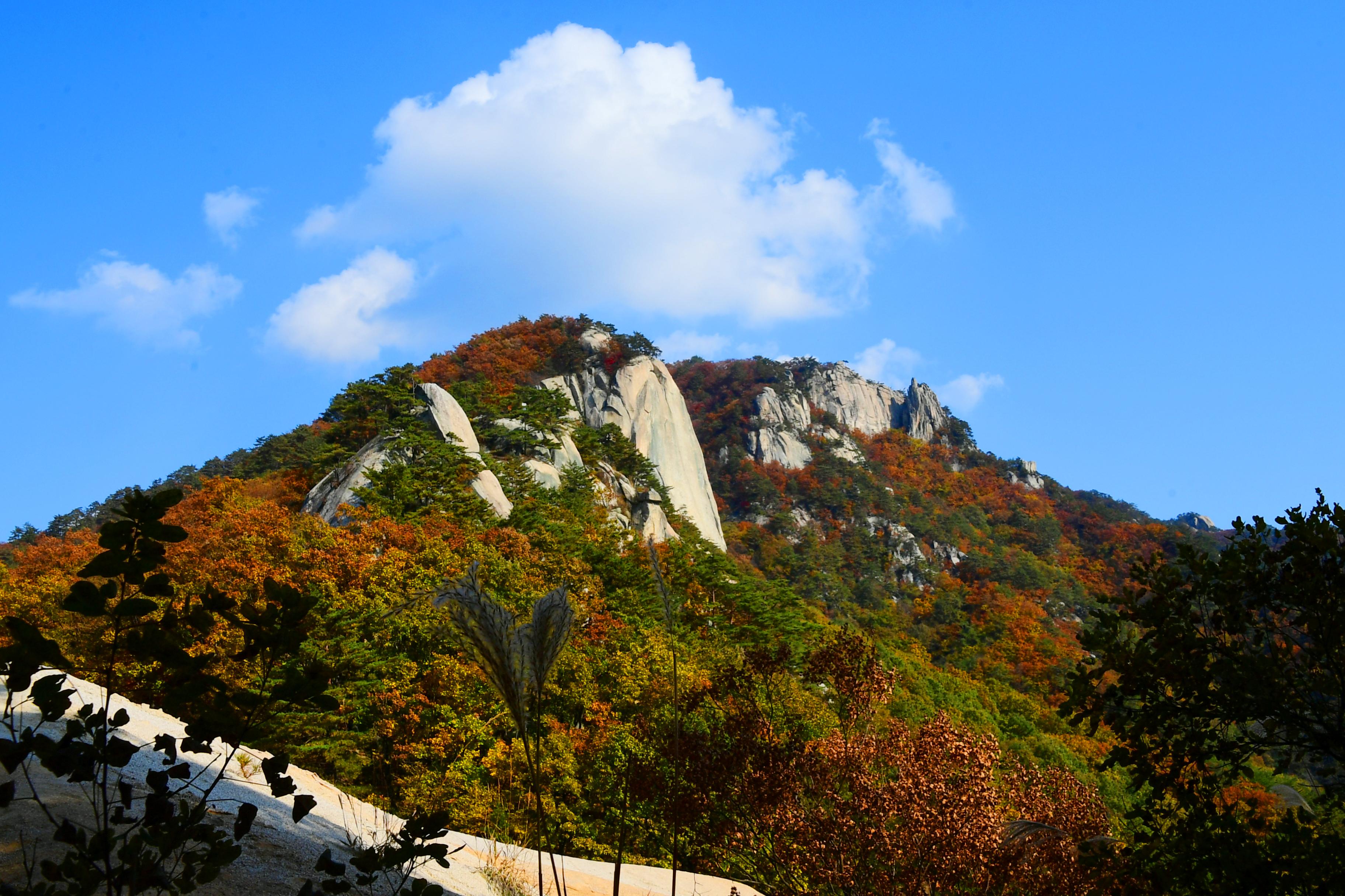 2020 하남면 삼화리 용화산 전경 의 사진