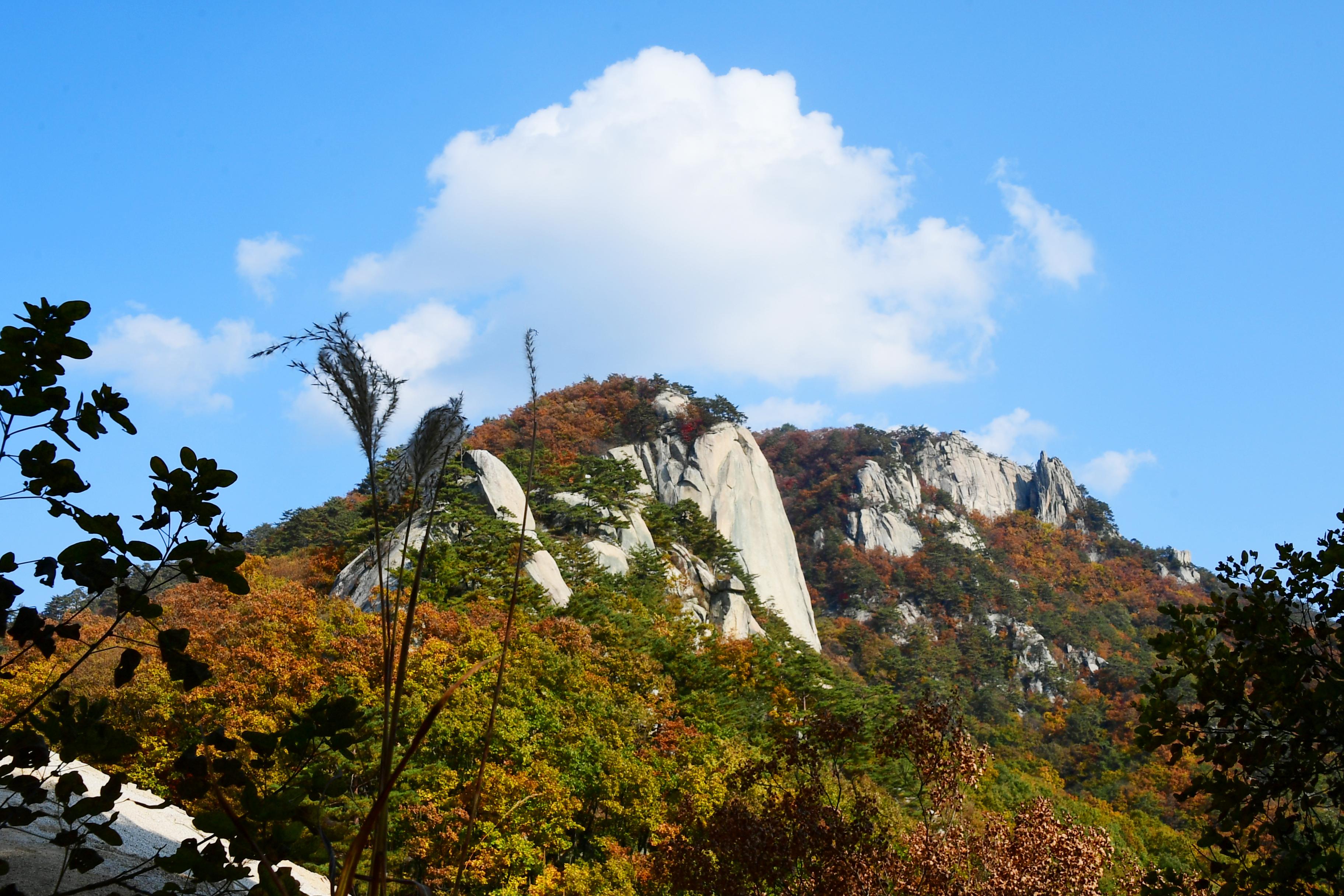 2020 하남면 삼화리 용화산 전경 의 사진