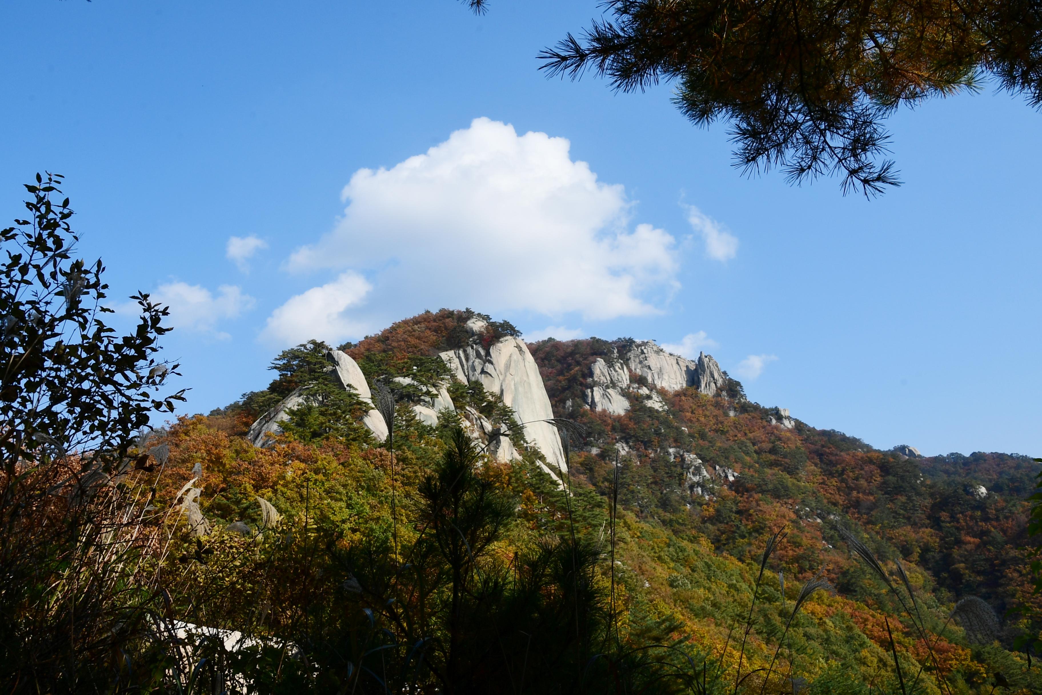 2020 하남면 삼화리 용화산 전경 의 사진