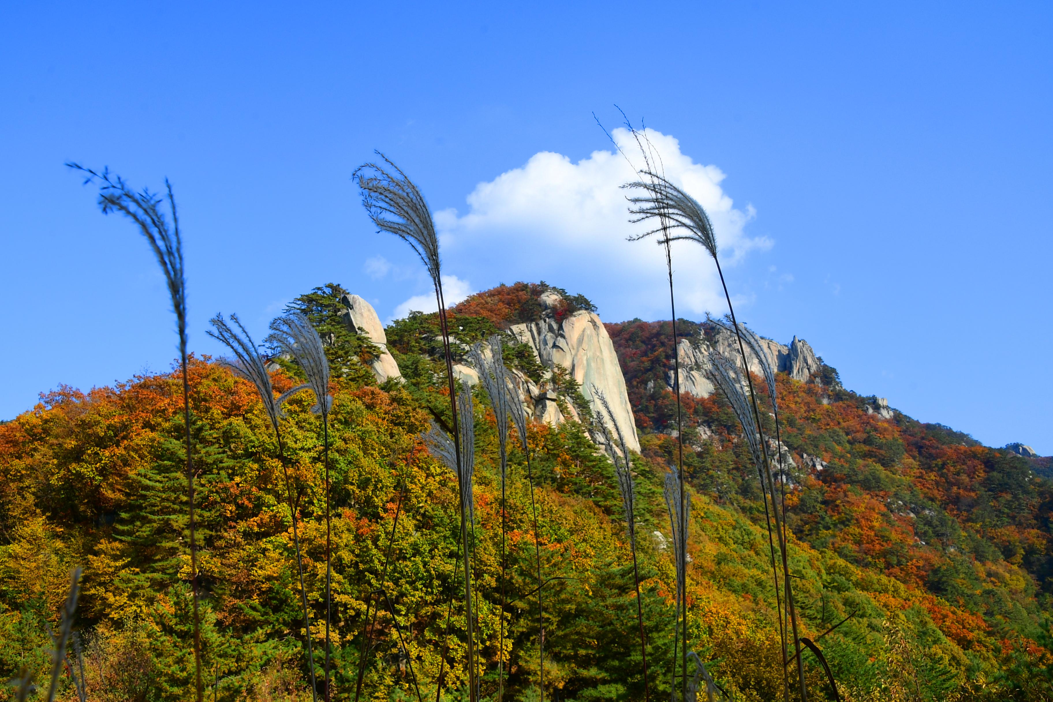 2020 하남면 삼화리 용화산 전경 의 사진