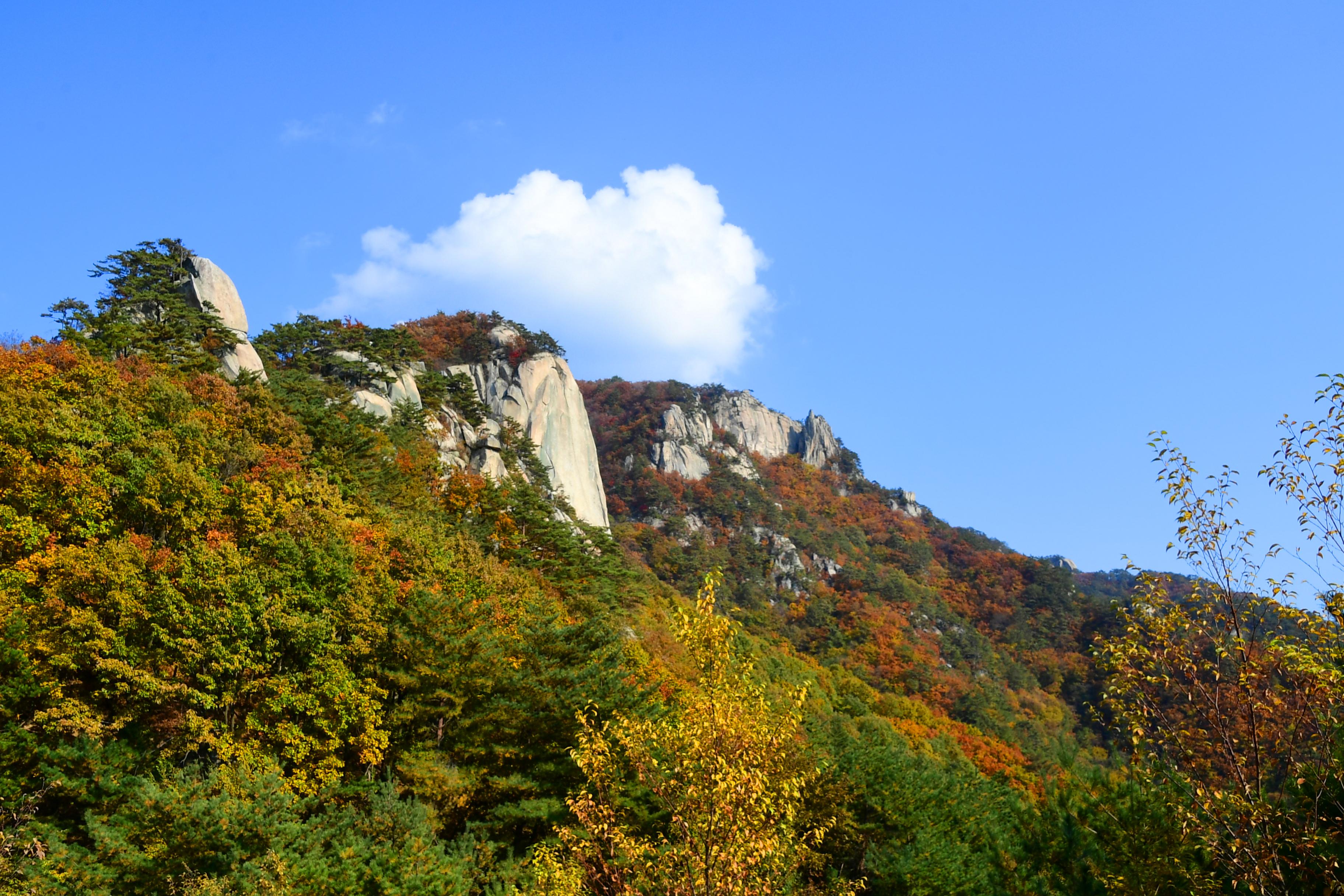 2020 하남면 삼화리 용화산 전경 의 사진