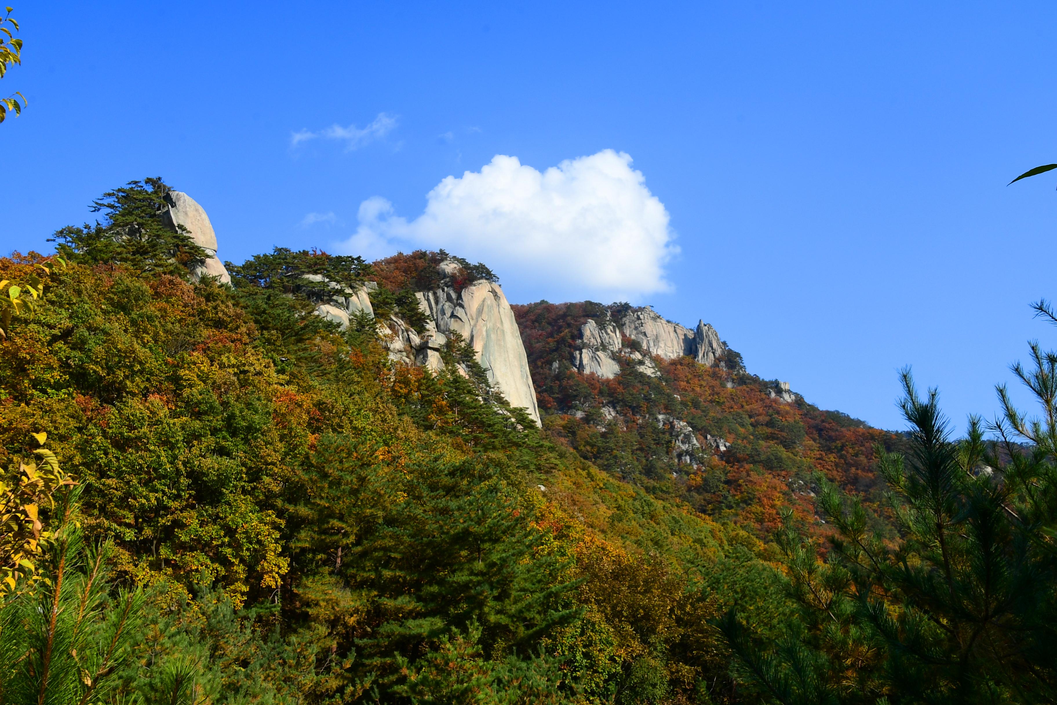 2020 하남면 삼화리 용화산 전경 의 사진