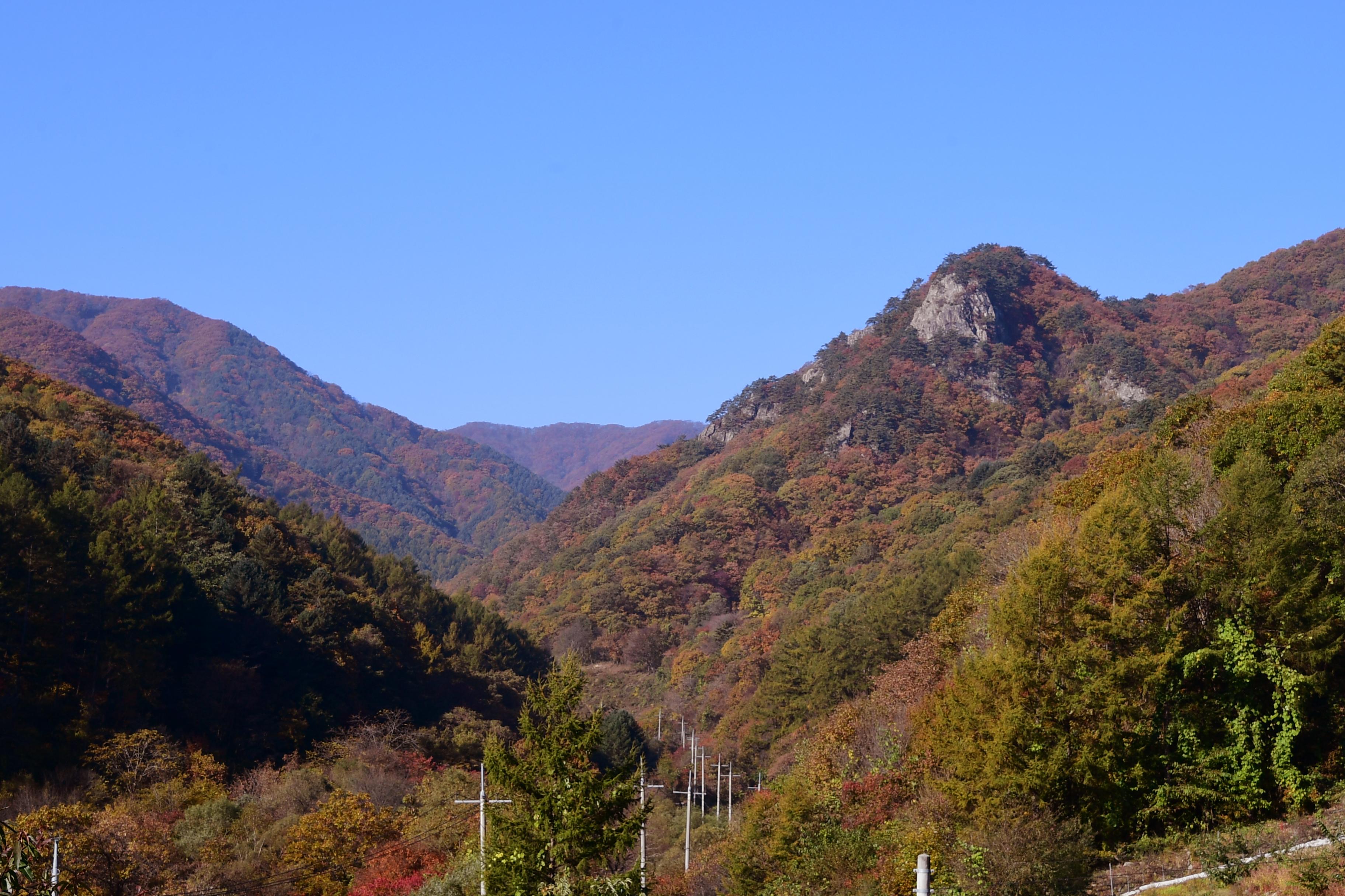 2020 상서면 구운리 비래암 의 사진