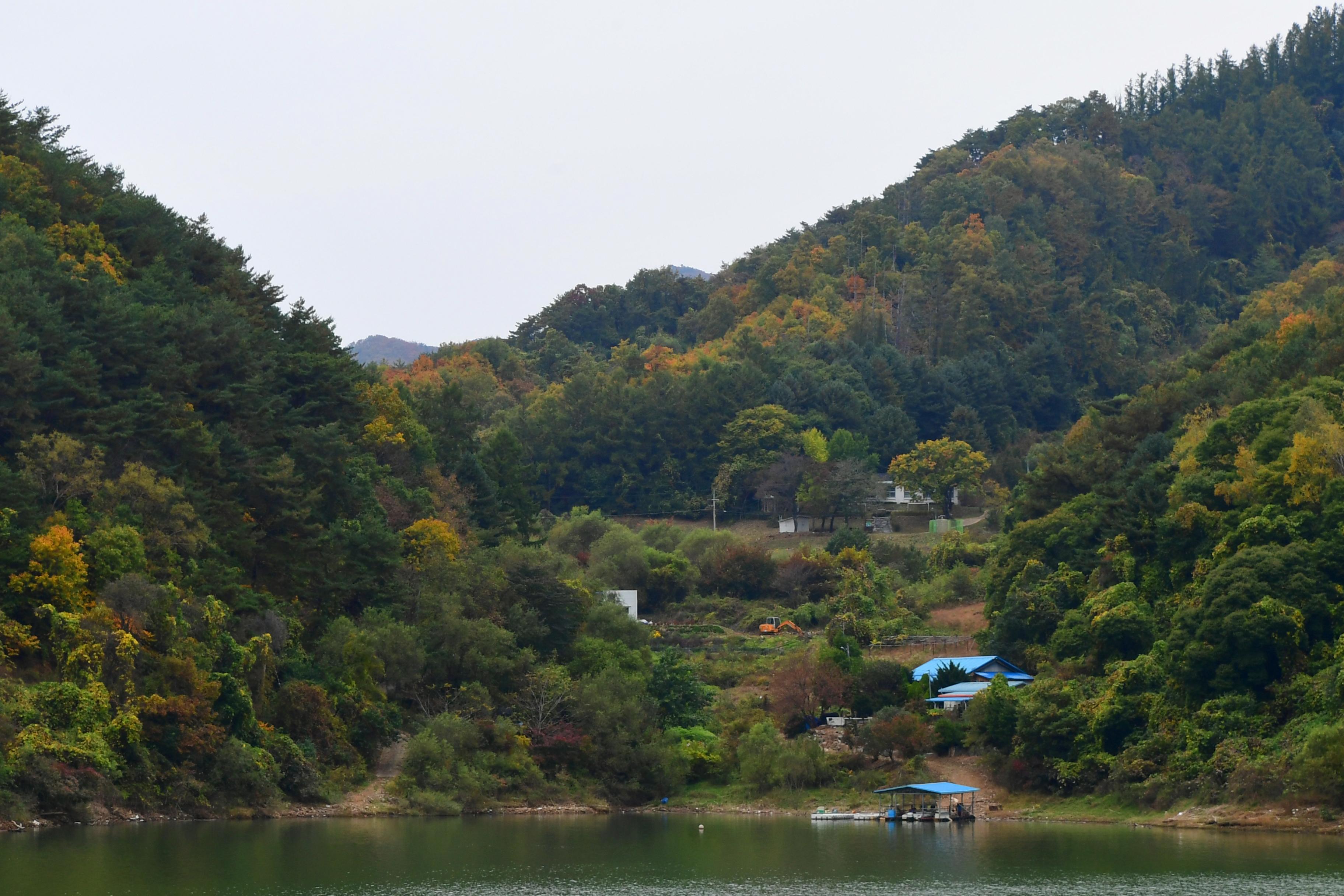 2020 파로호 전경 의 사진