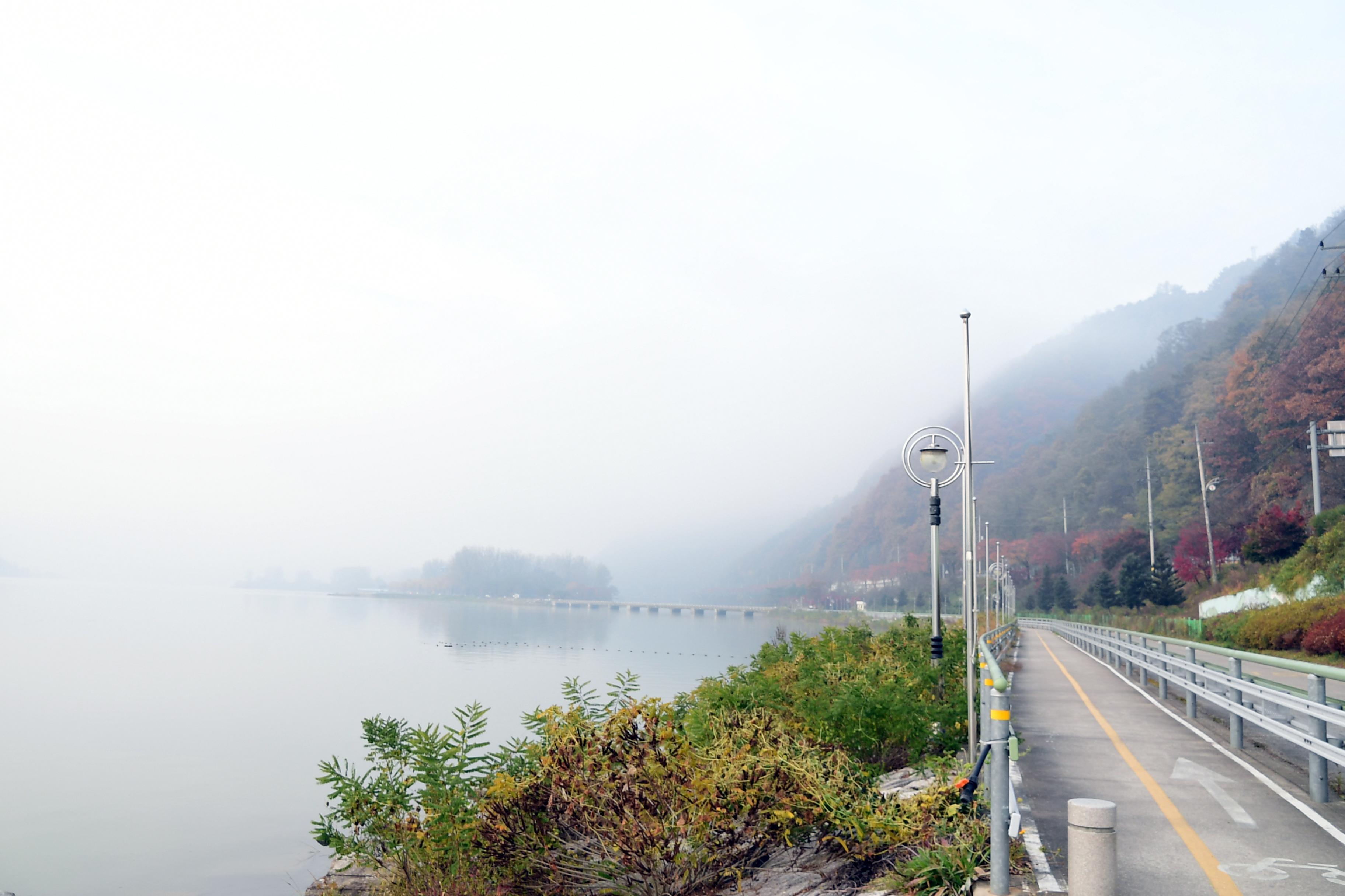2020 북한강 붕어섬 전경 의 사진