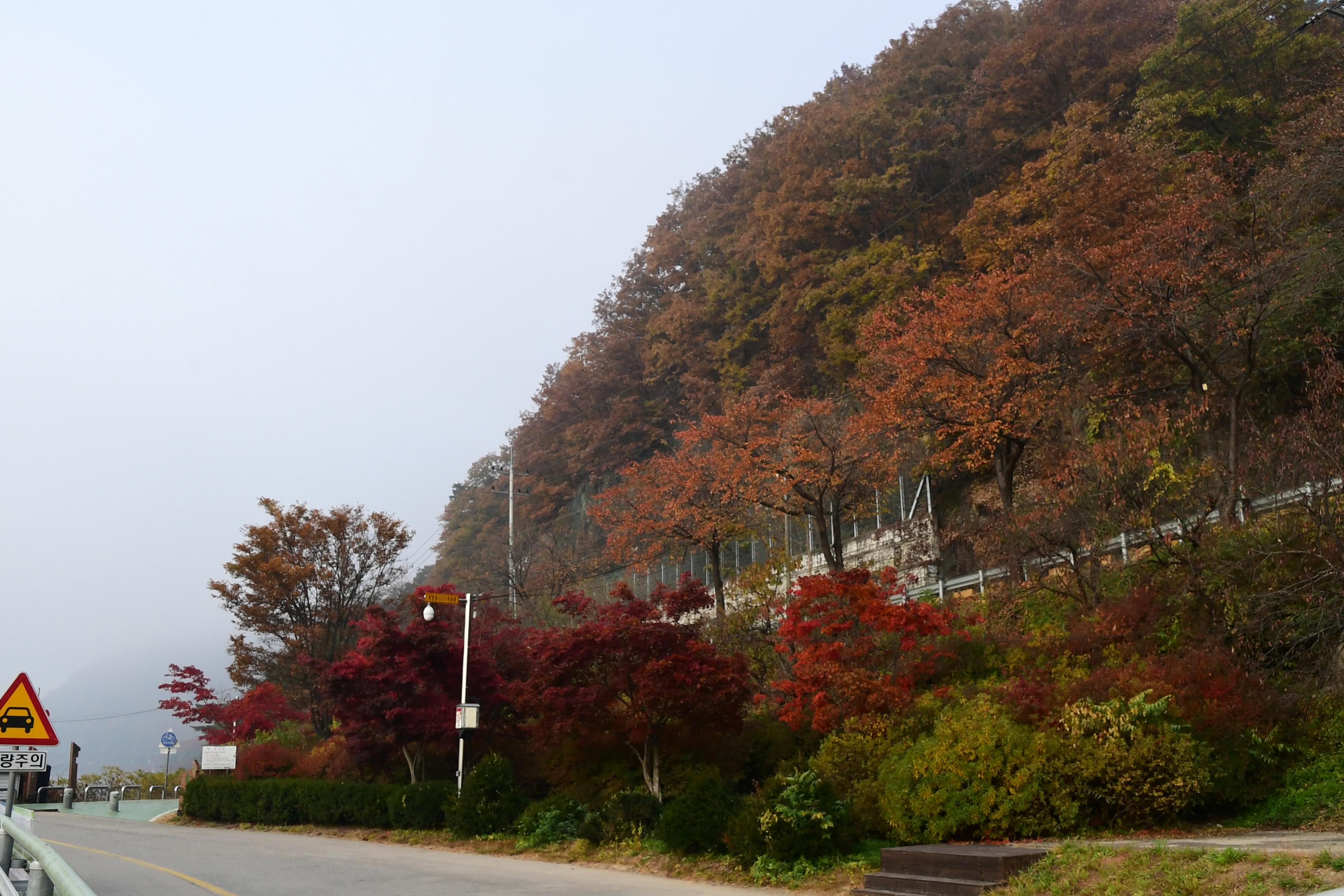 2020 북한강 붕어섬 전경 의 사진