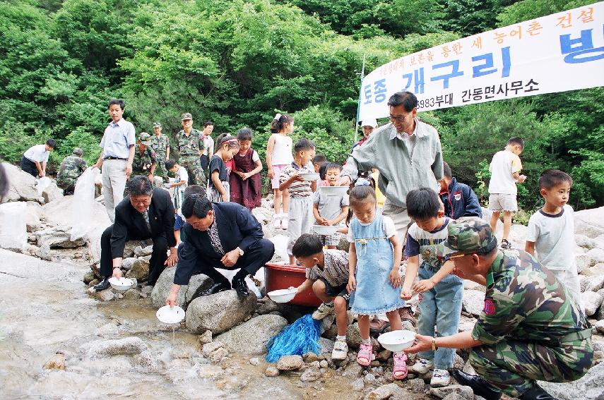 토종개구리 의 사진