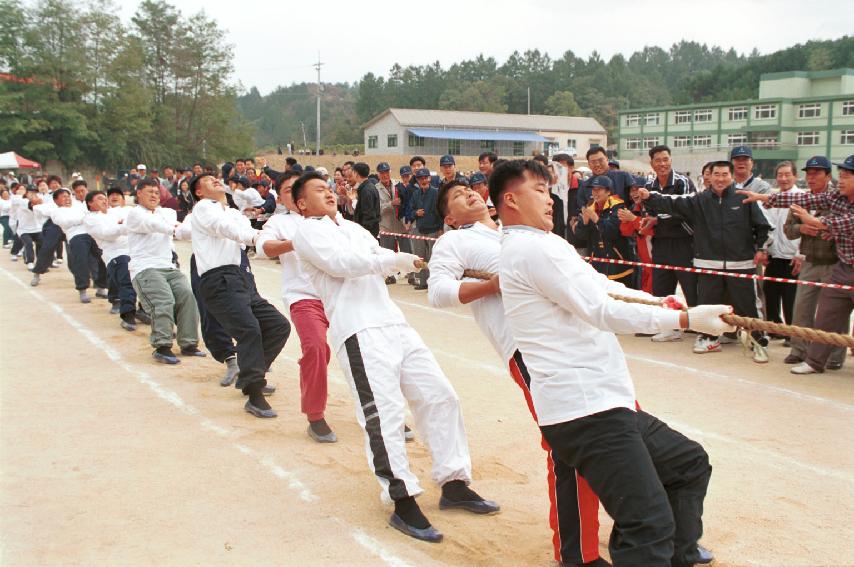 줄다리기 사진