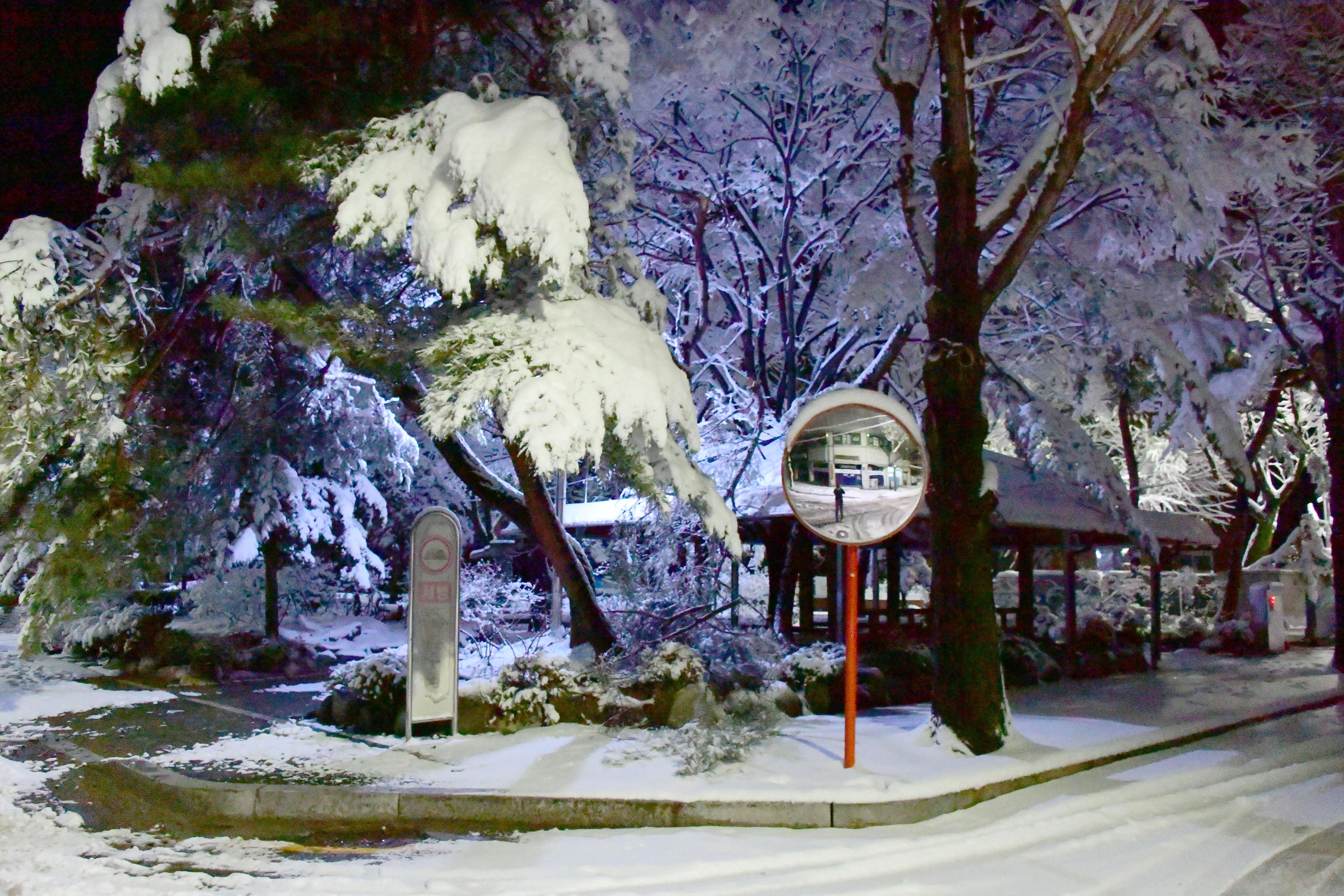 2021 대설주의보에 따른 화천읍 설경 의 사진