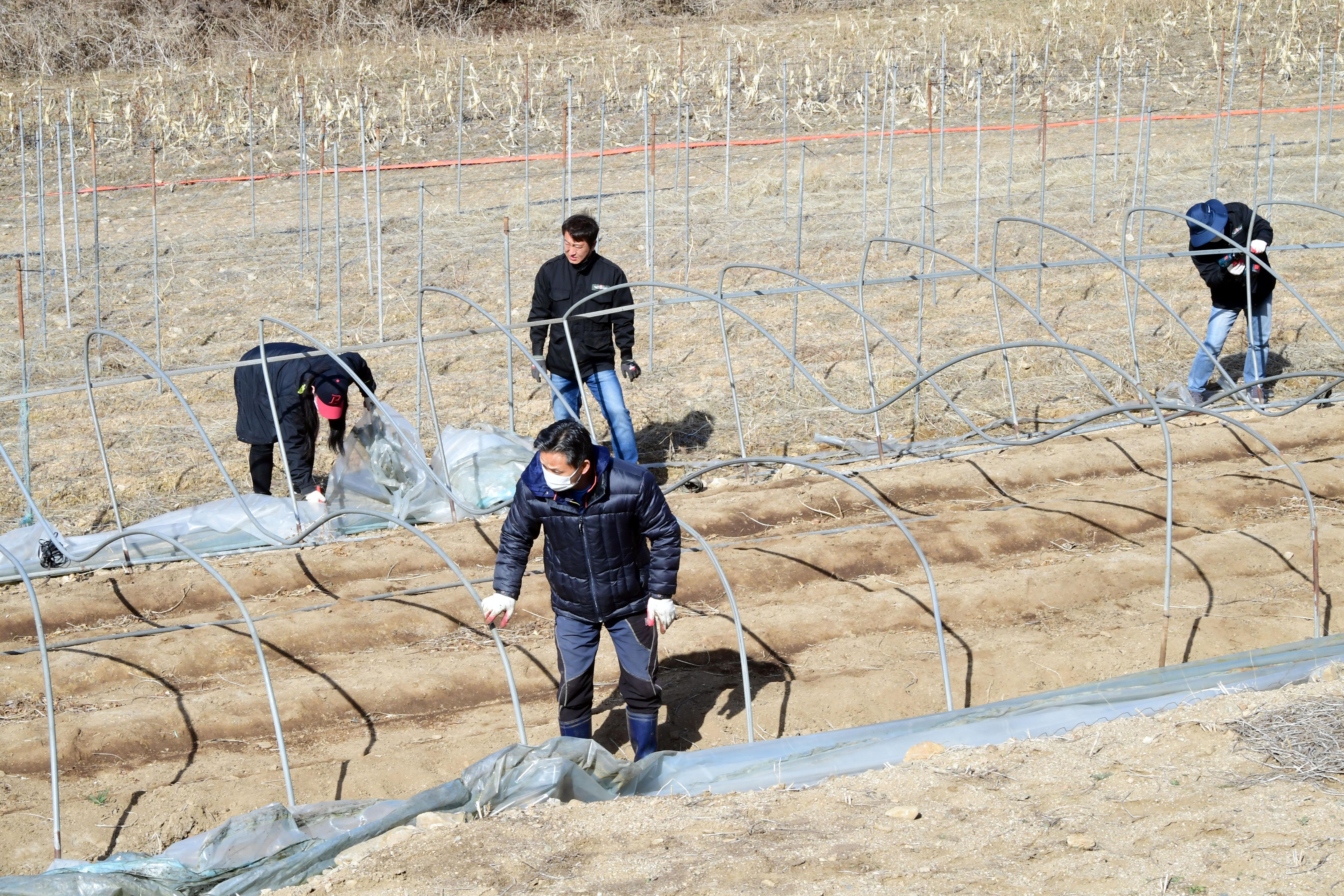 2021 화천군 대설피해에 따른 피해지역 복구작업 의 사진