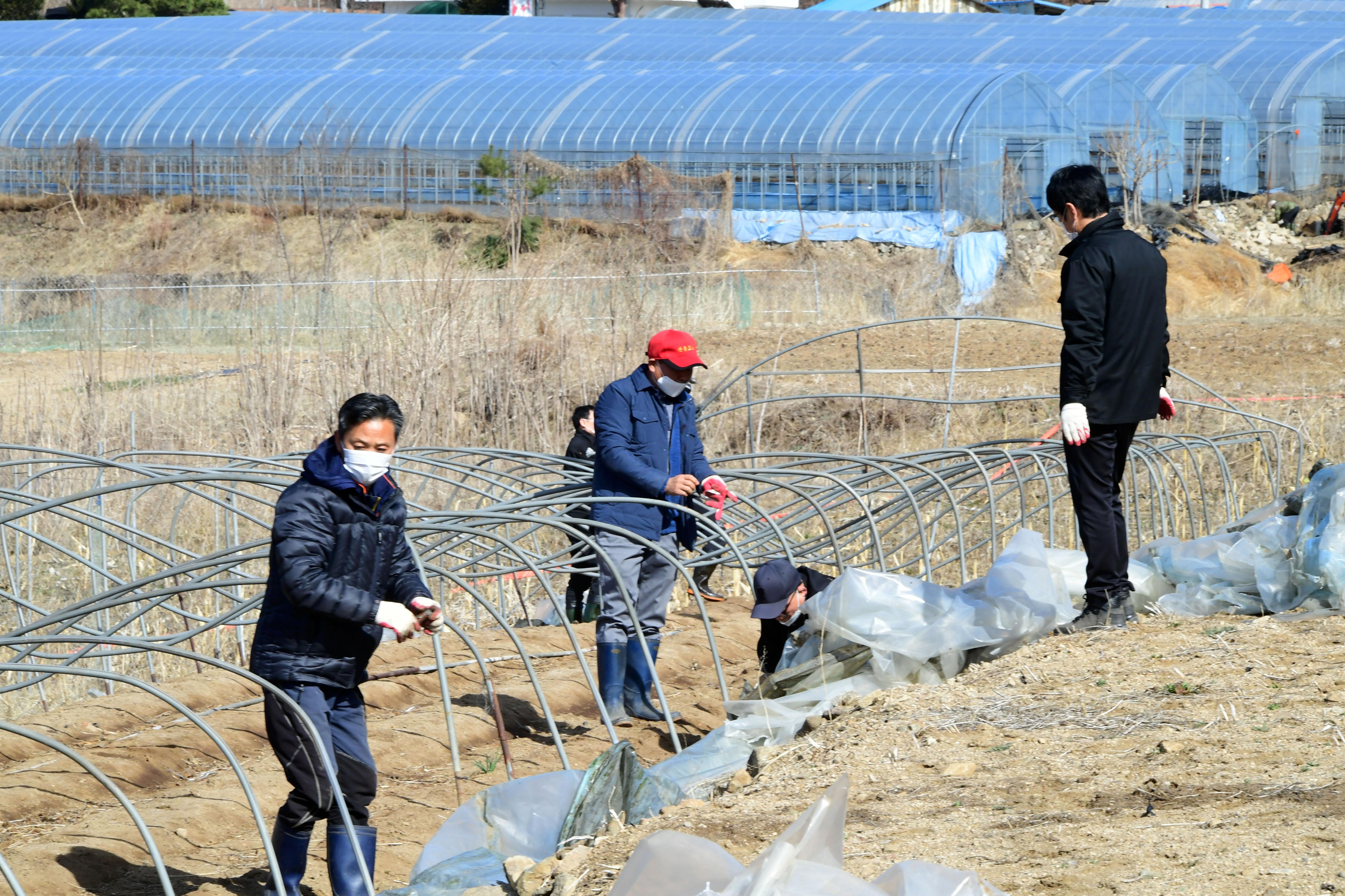 2021 화천군 대설피해에 따른 피해지역 복구작업 의 사진