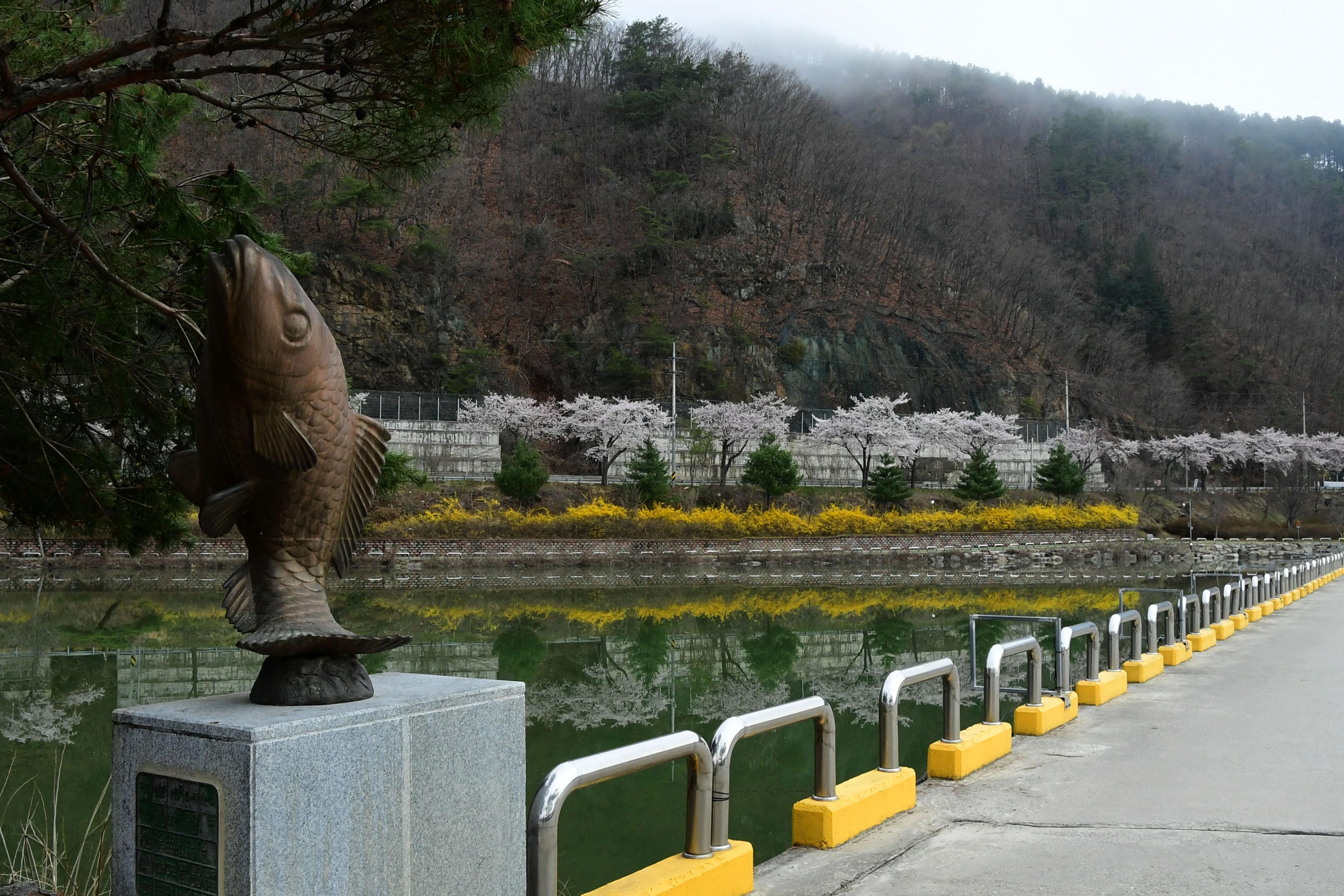 2021 강원도 화천군 화천읍 북한강 붕어섬 전경 의 사진