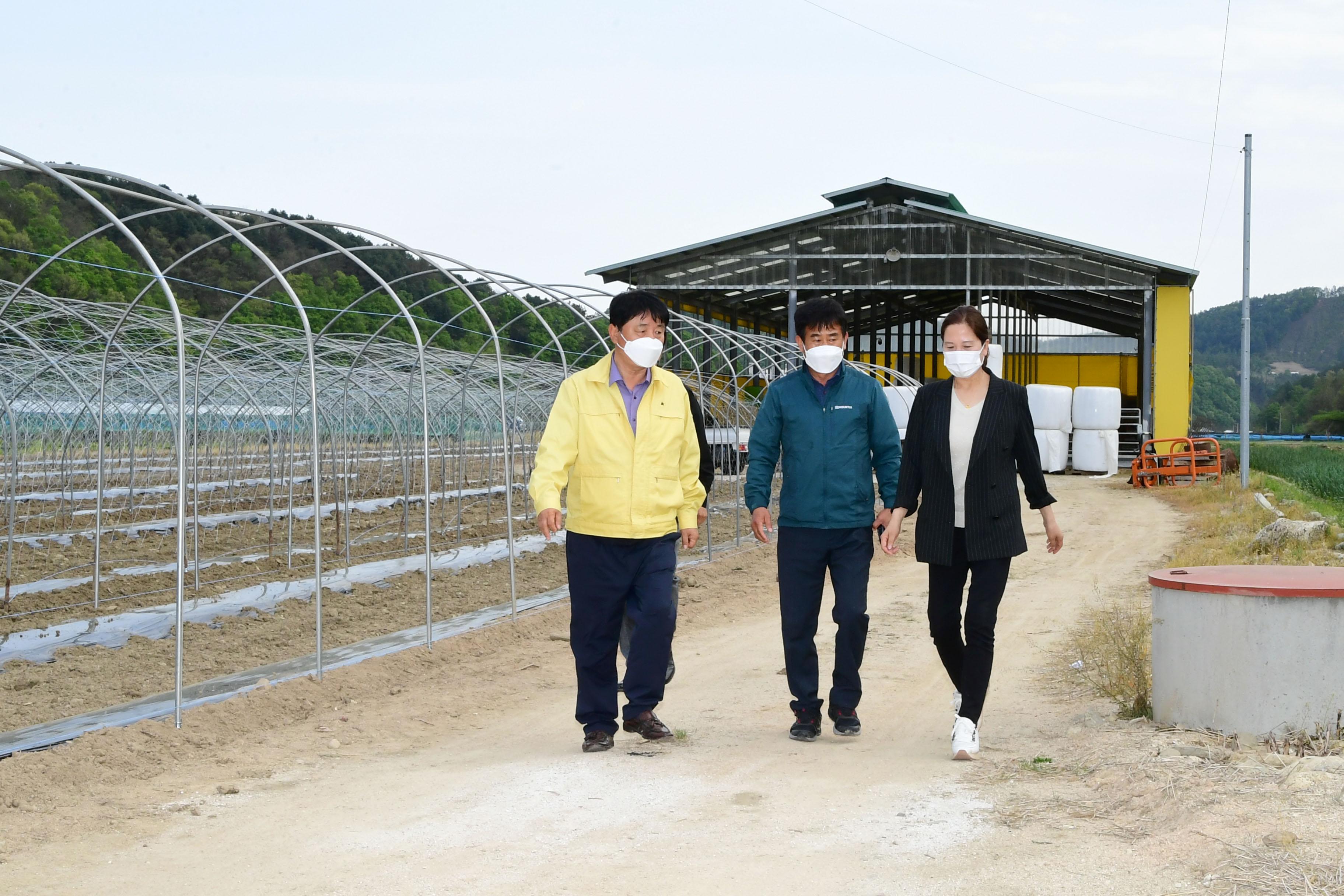 2021 화천군 벼파종농가 현장방문 격려 의 사진