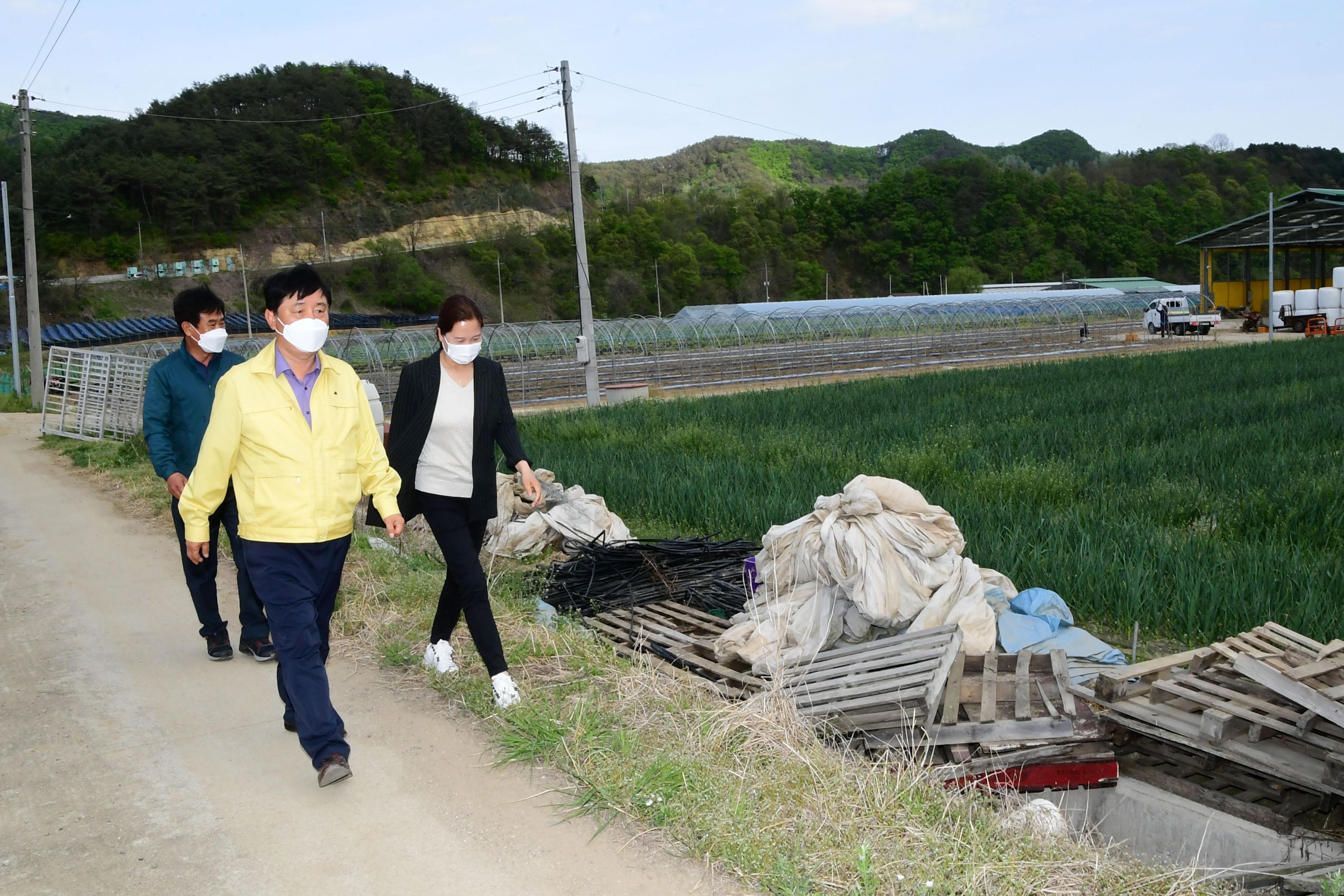 2021 화천군 벼파종농가 현장방문 격려 의 사진