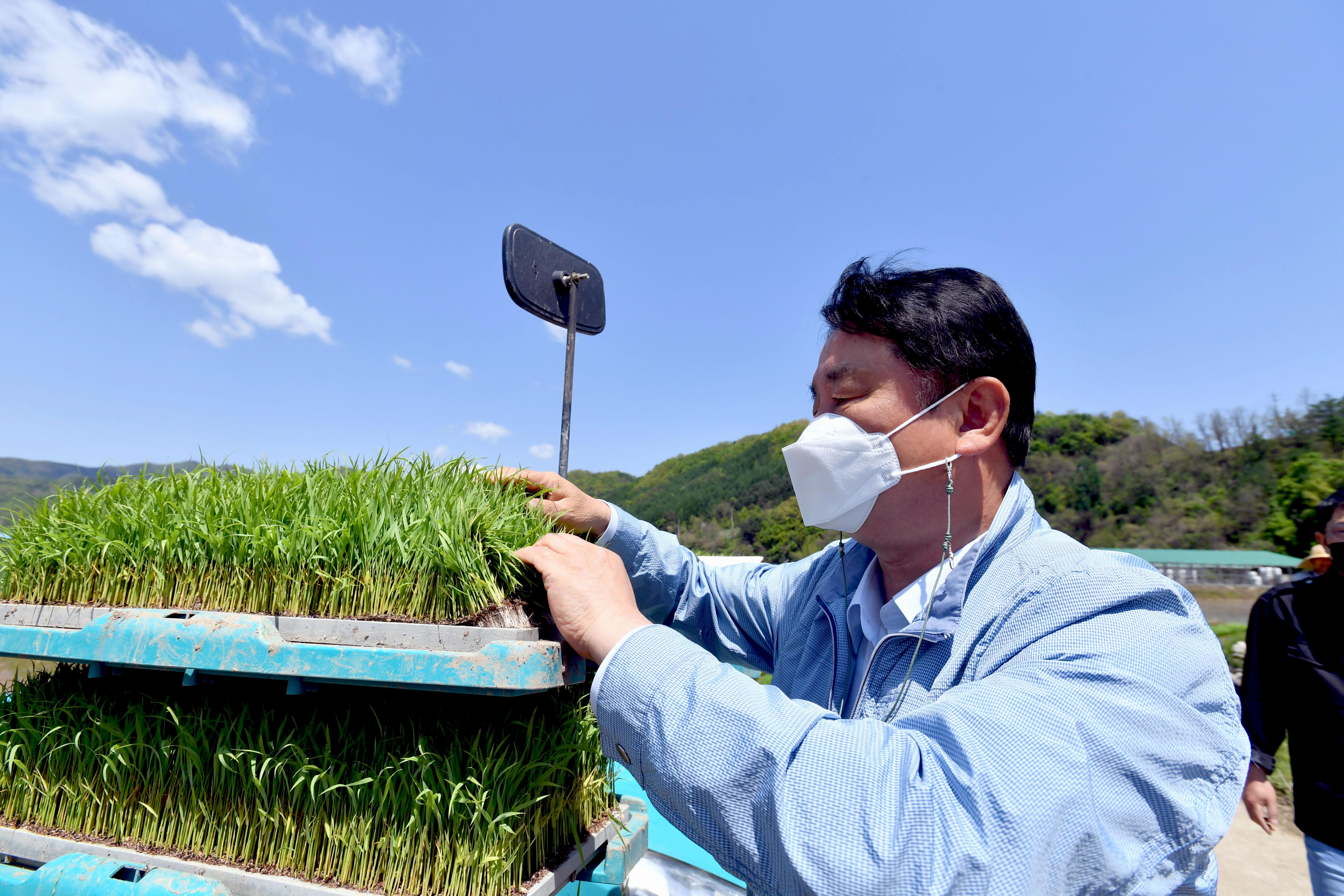 2021 화천군 상서면 파포리 첫모내기 현장 격려 의 사진