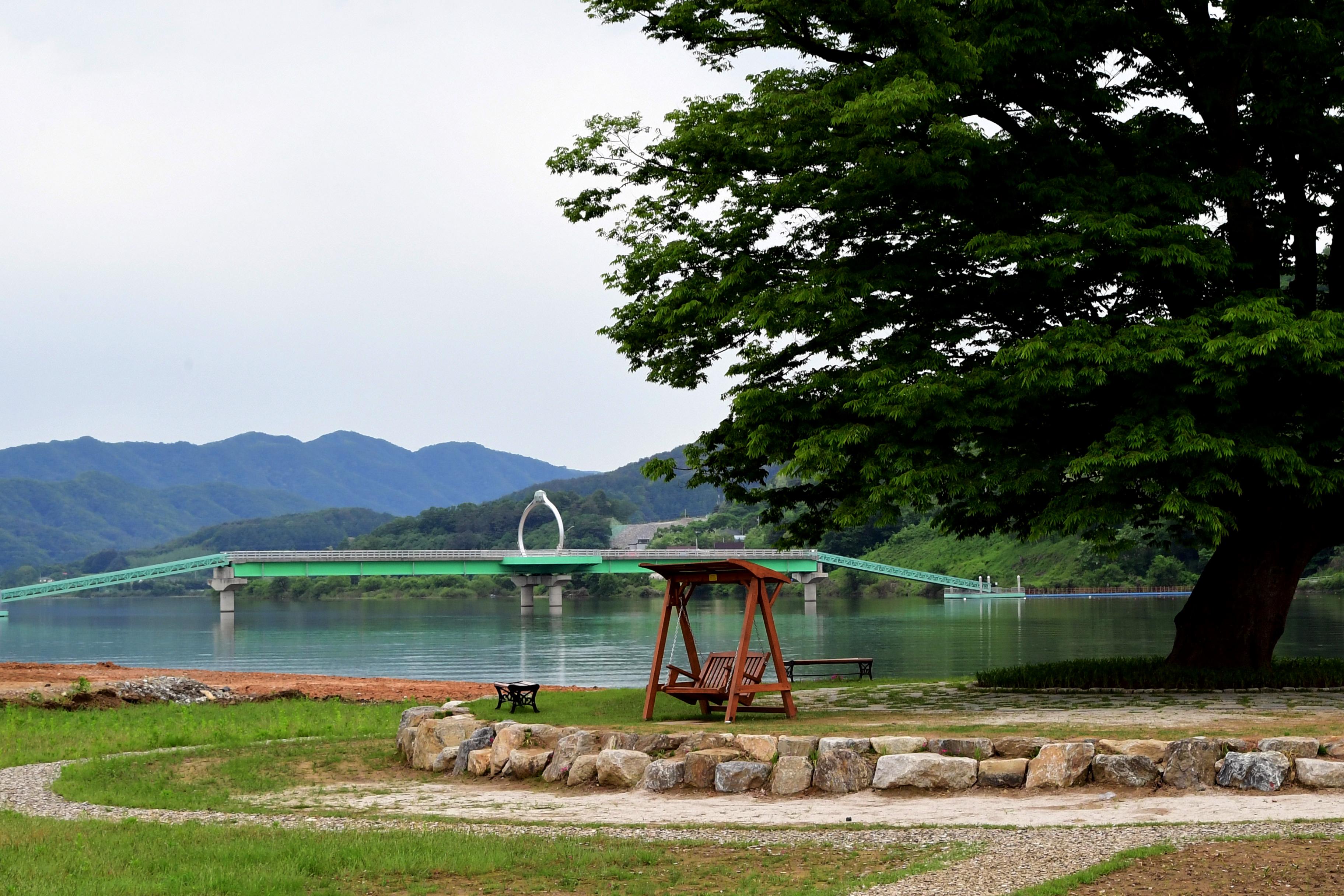 2021 화천군 하남면 거례리 사랑나무 전경 의 사진