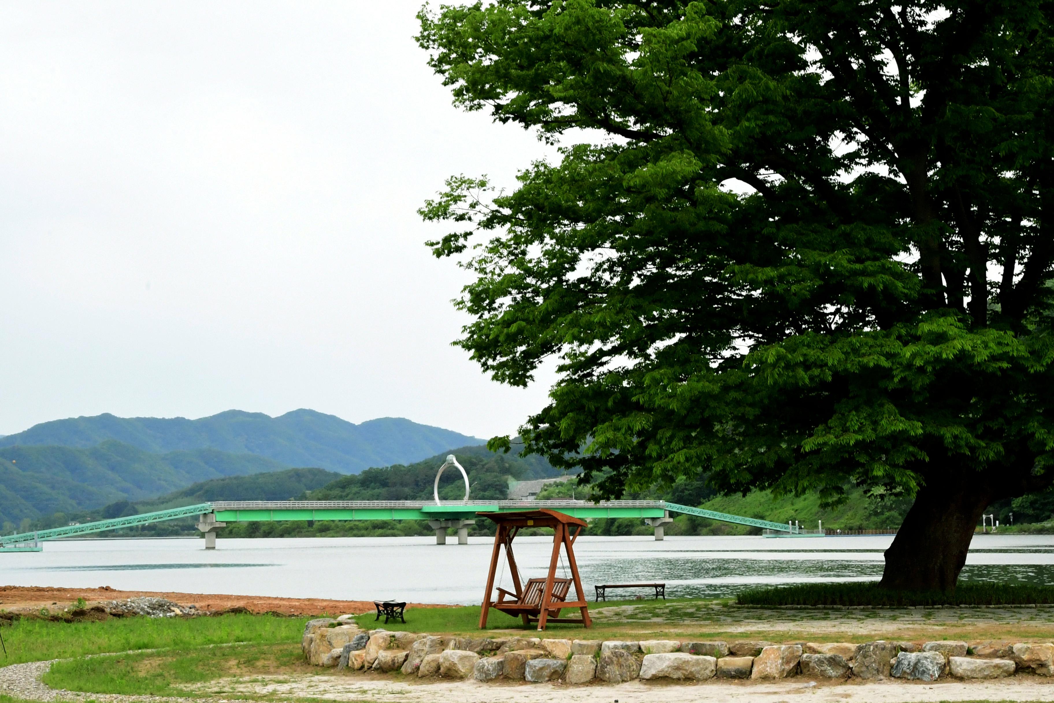 2021 화천군 하남면 거례리 사랑나무 전경 의 사진