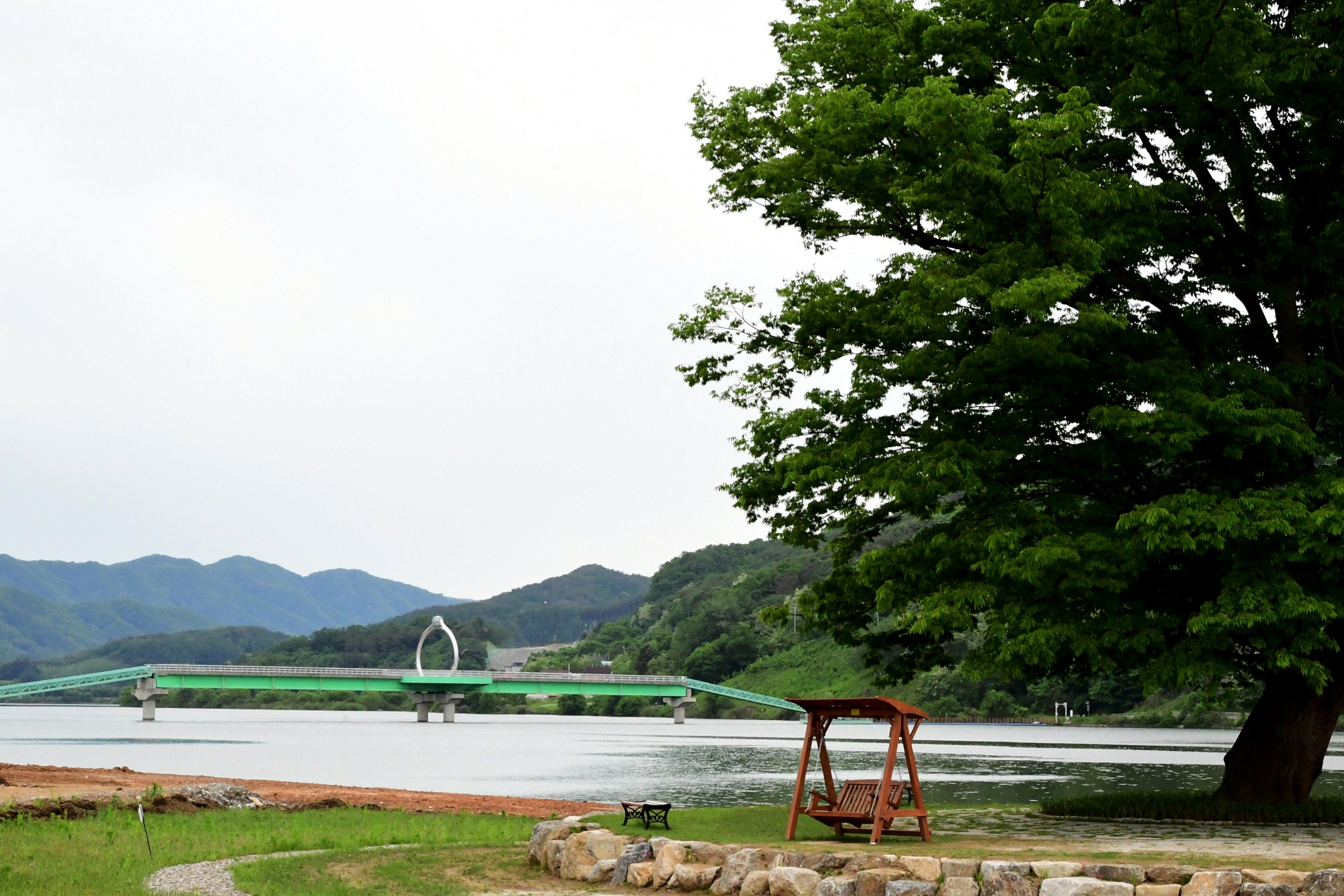 2021 화천군 하남면 거례리 사랑나무 전경 의 사진